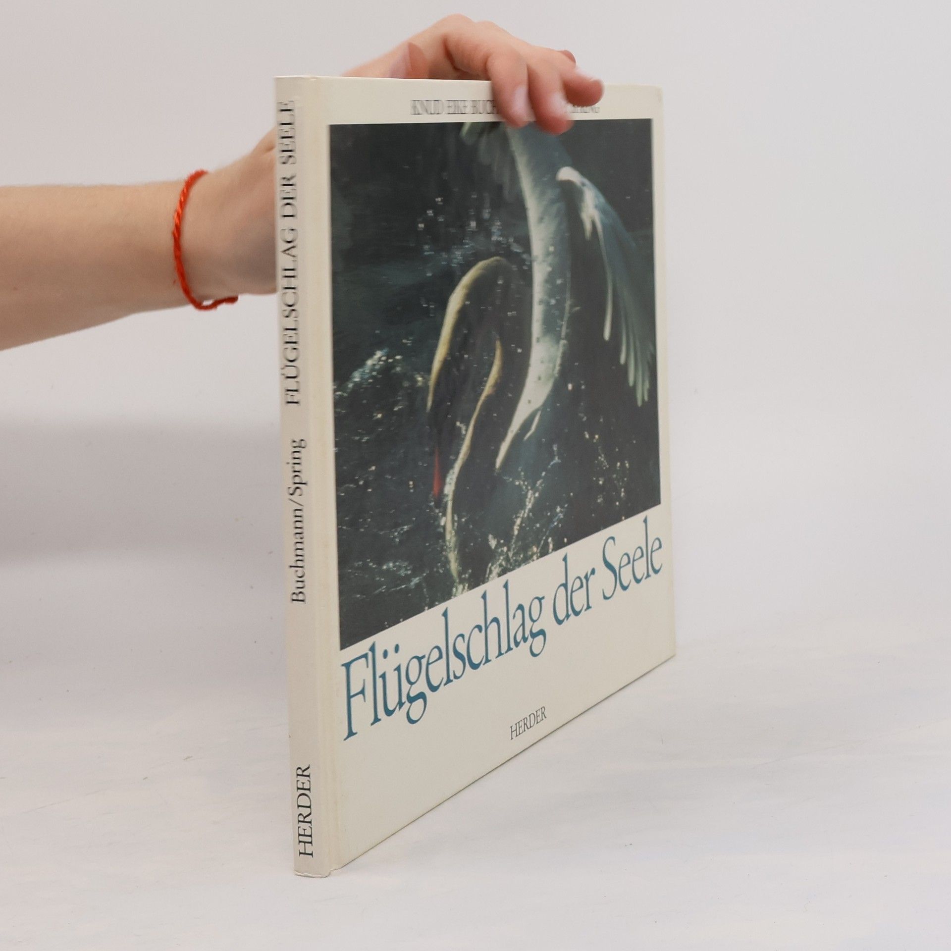 Autorenkollektiv Flügelschlag der Seele