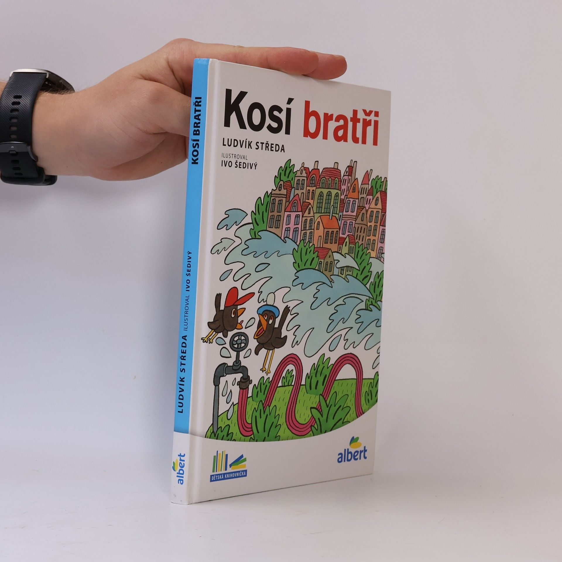 Ludvík Středa Kosí bratři