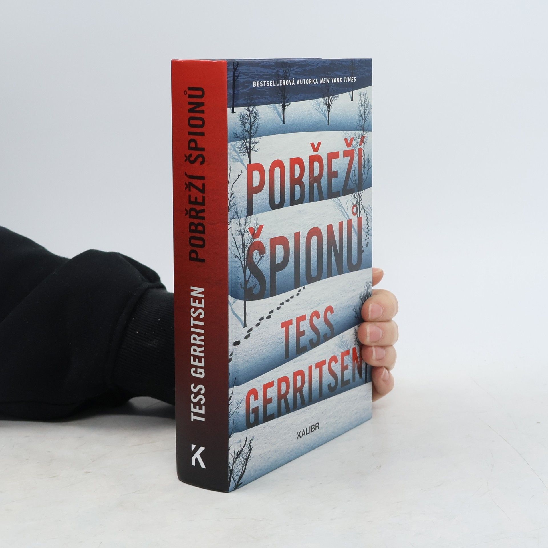 Tess Gerritsen Pobřeží špionů