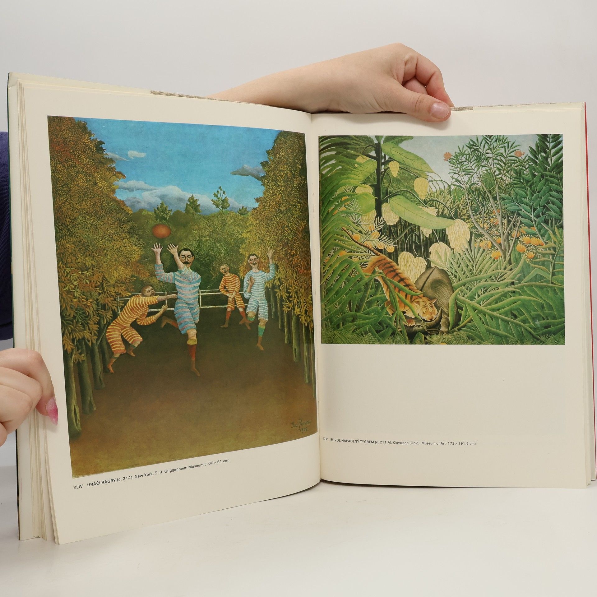 Giovanni Artieri Henri Rousseau