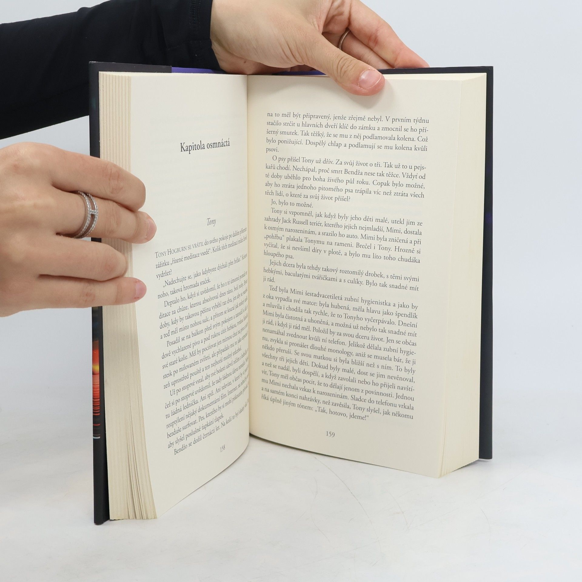 Liane Moriarty Úplně cizí lidé