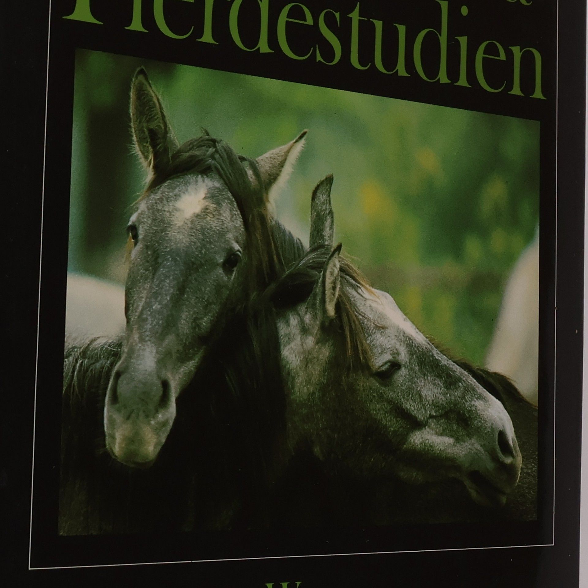 Pferdestudien