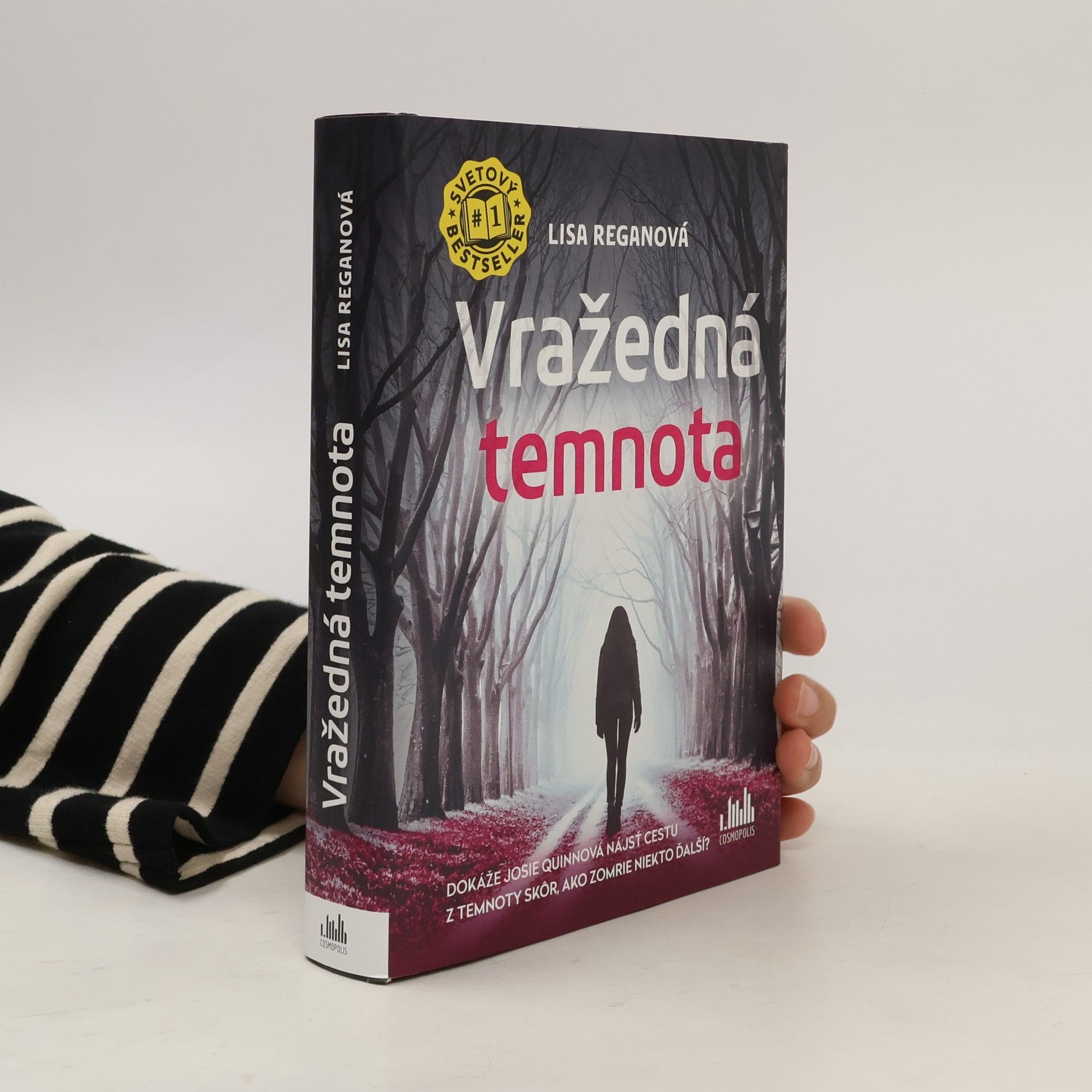 Lisa Regan Vražedná temnota