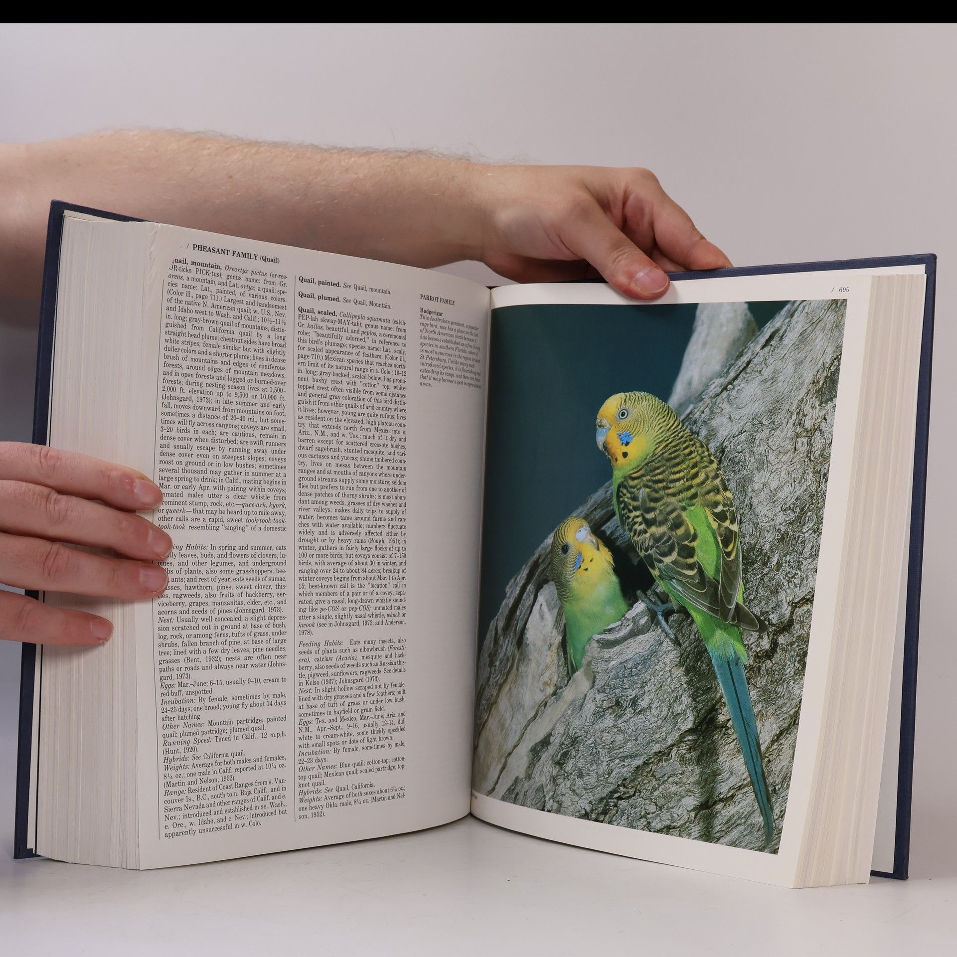 John K. Terres The Audubon Society Encyclopedia of North American Birds