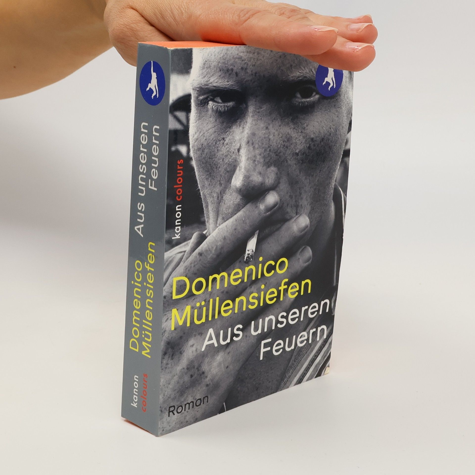 Domenico Müllensiefen Aus unseren Feuern
