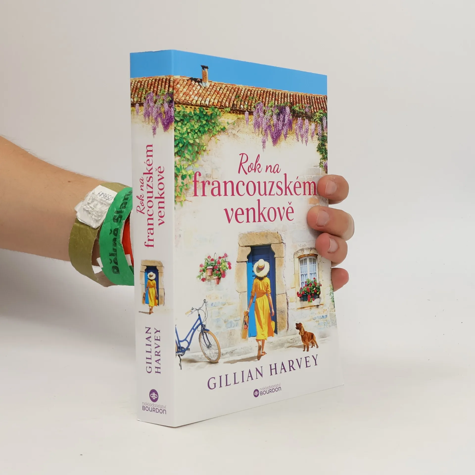 Rok na francouzském venkově | Gillian Harvey | Tsjechisch | Boek