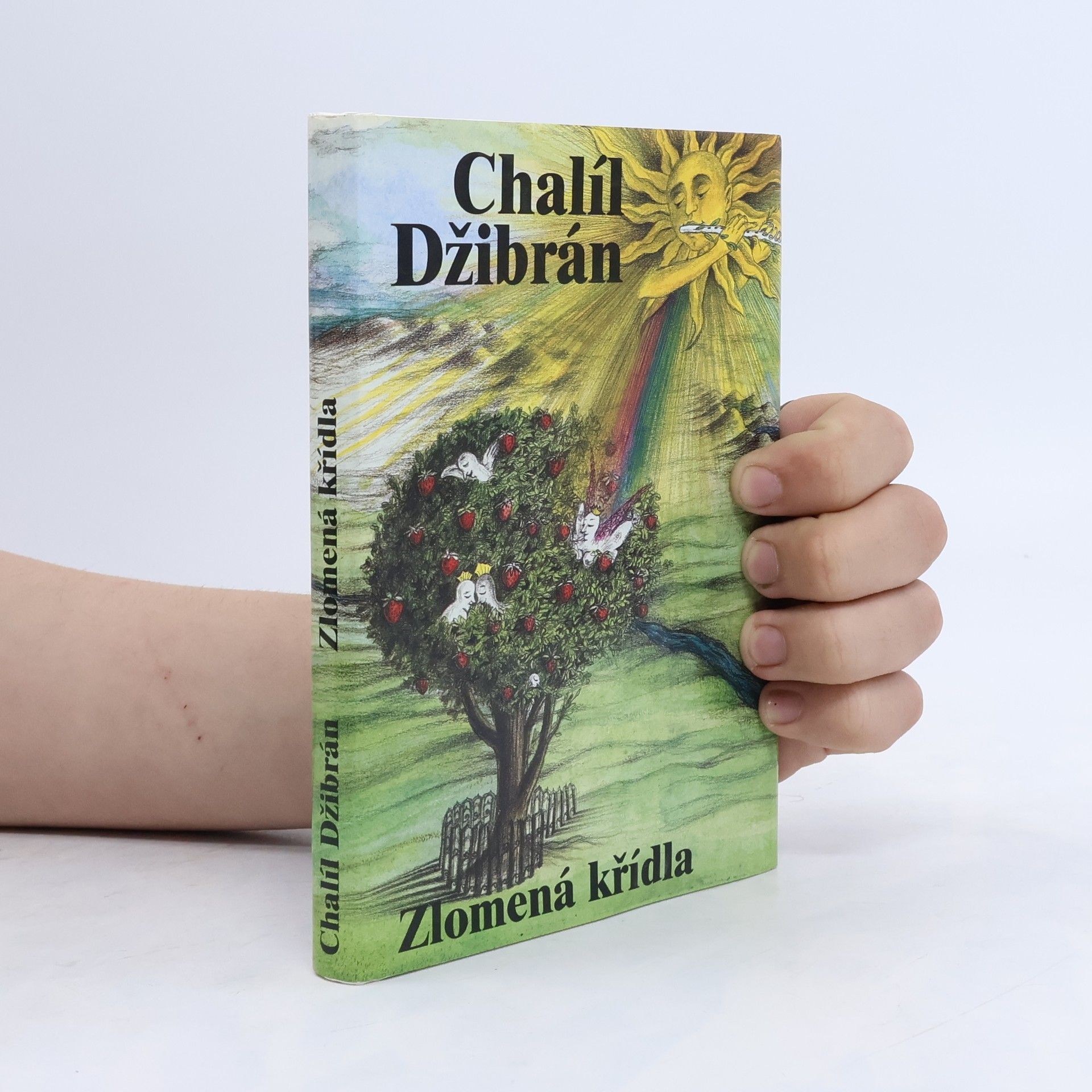 Kahlil Gibran Zlomená křídla