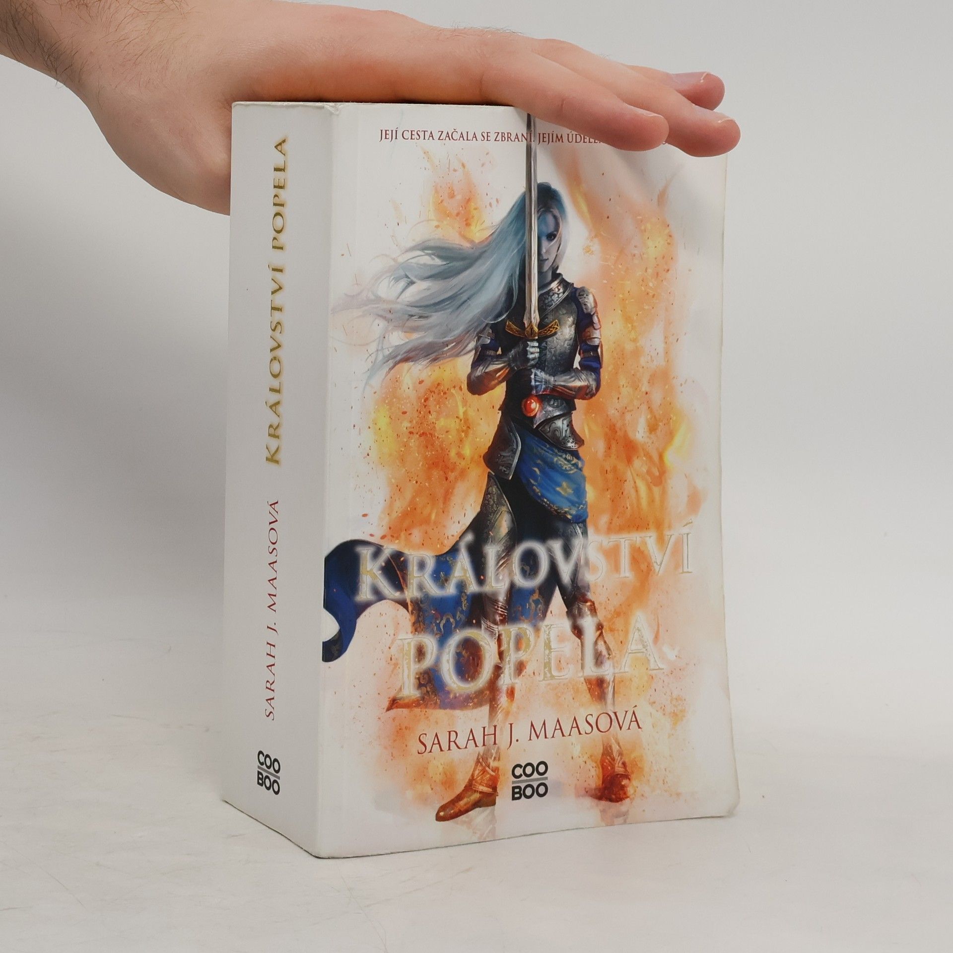 Sarah J. Maas Království popela