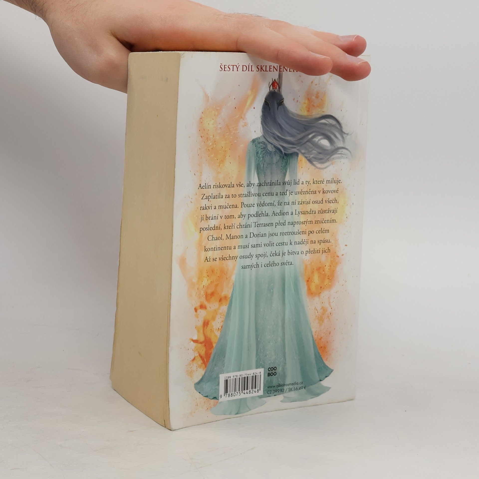 Sarah J. Maas Království popela