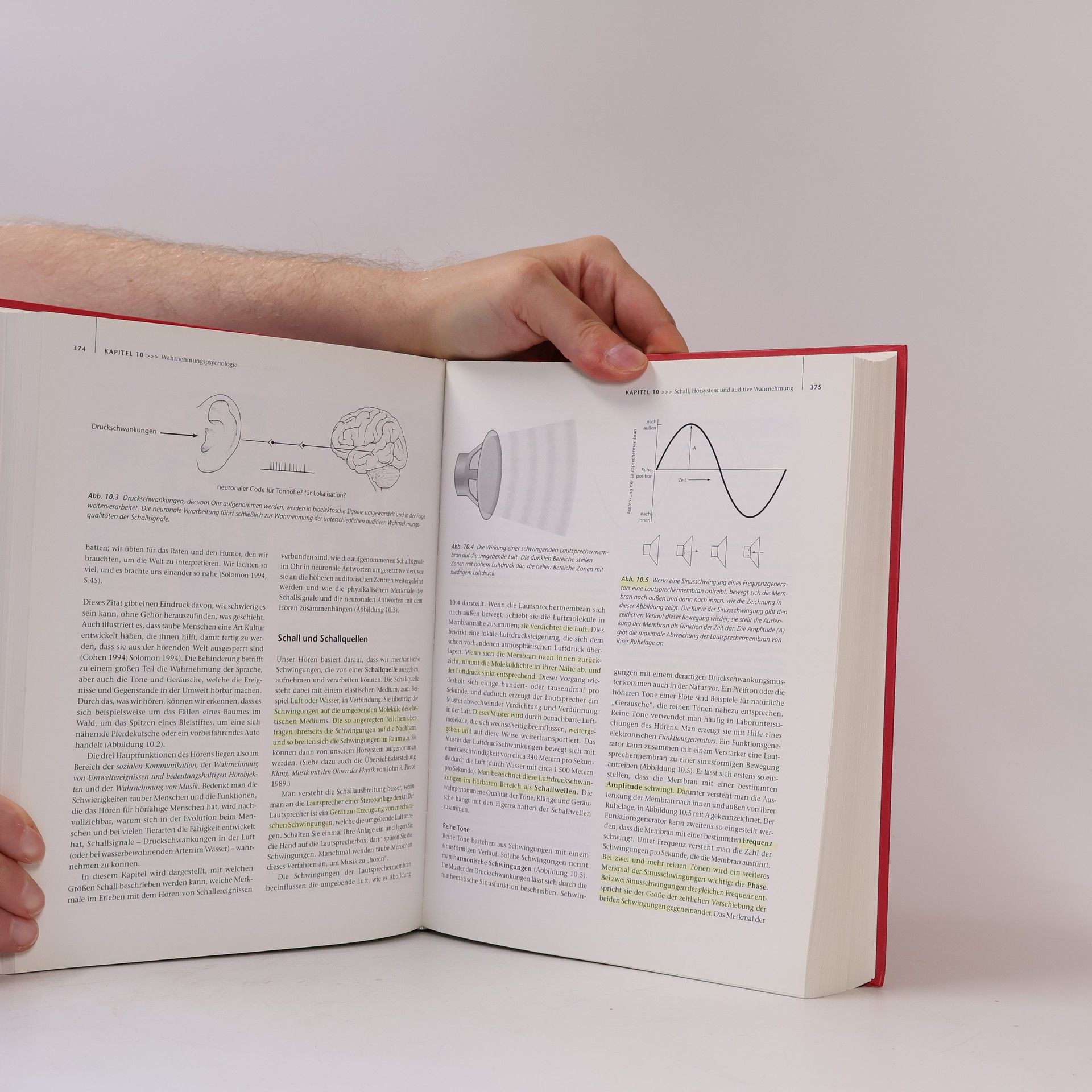 E. Bruce Goldstein Wahrnehmungspsychologie