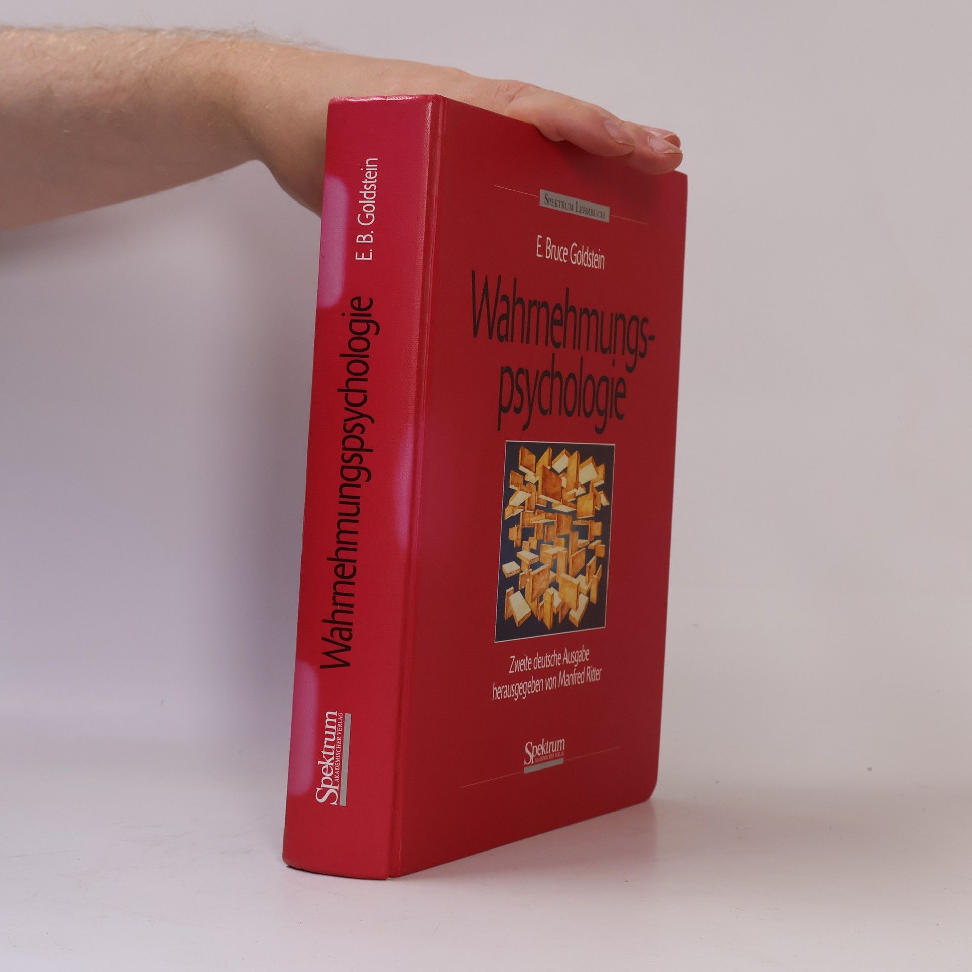 E. Bruce Goldstein Wahrnehmungspsychologie