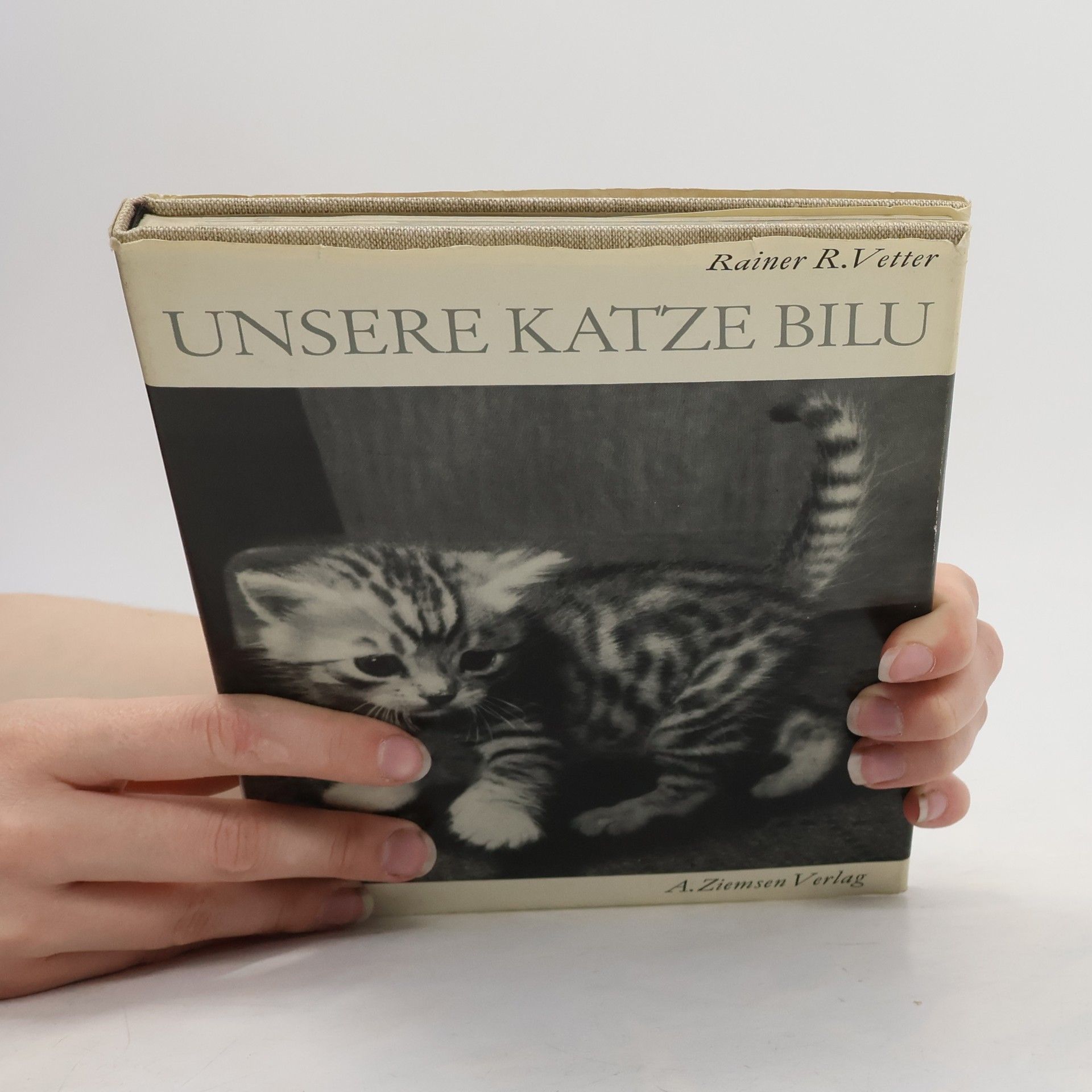 Rainer R. Vetter Unsere Katze Bilu