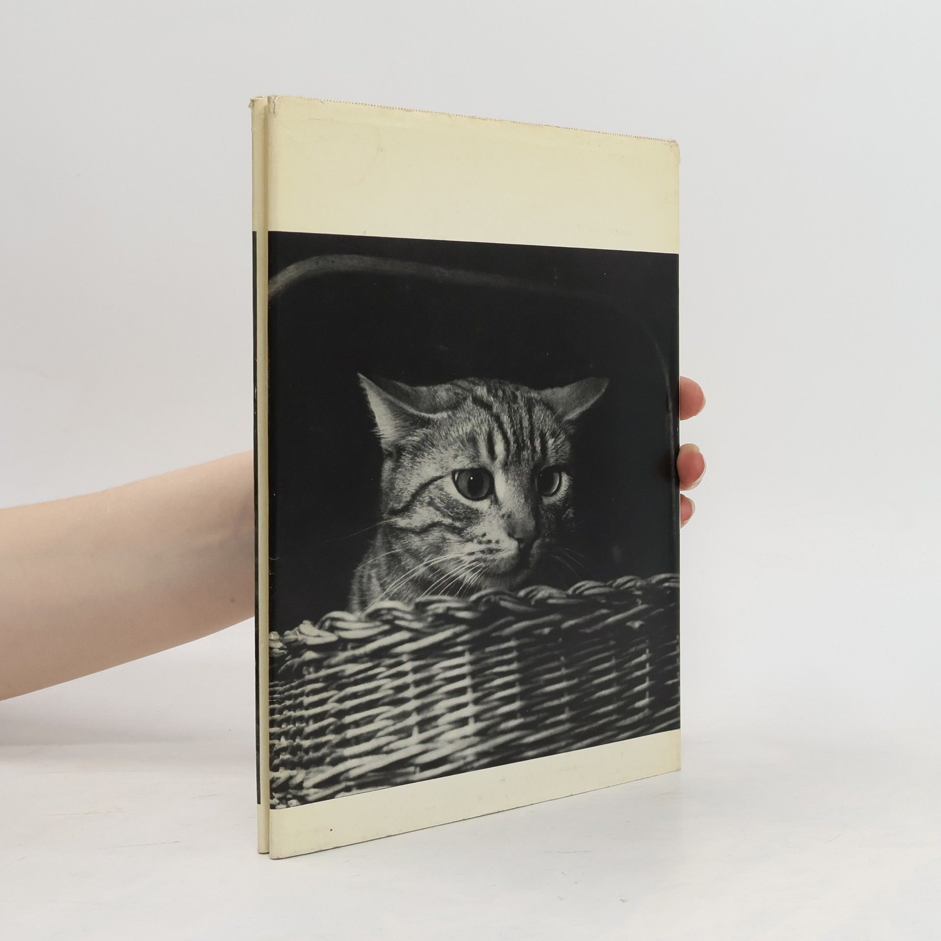 Rainer R. Vetter Unsere Katze Bilu