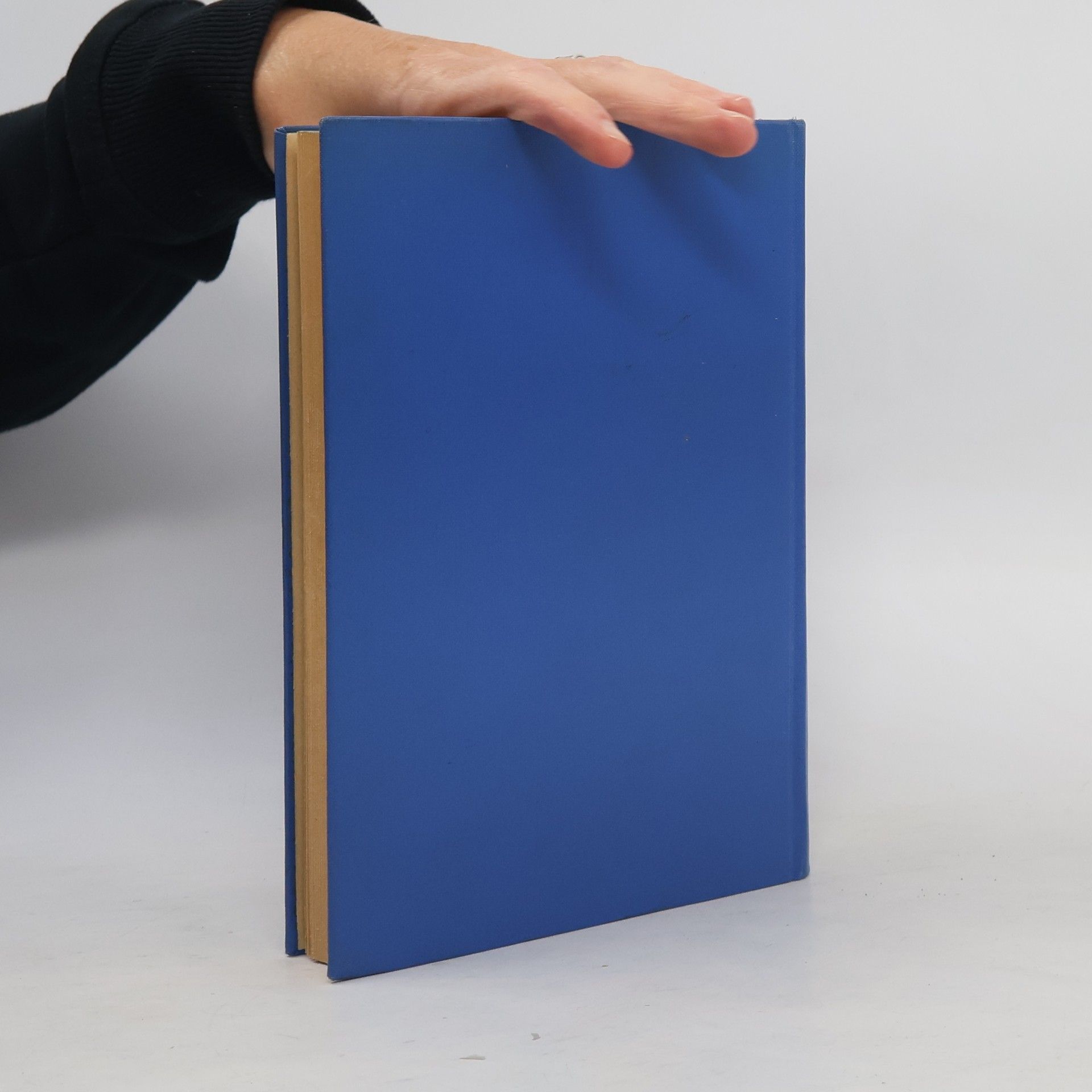 Miloš Gabler Magnetische Verstärker