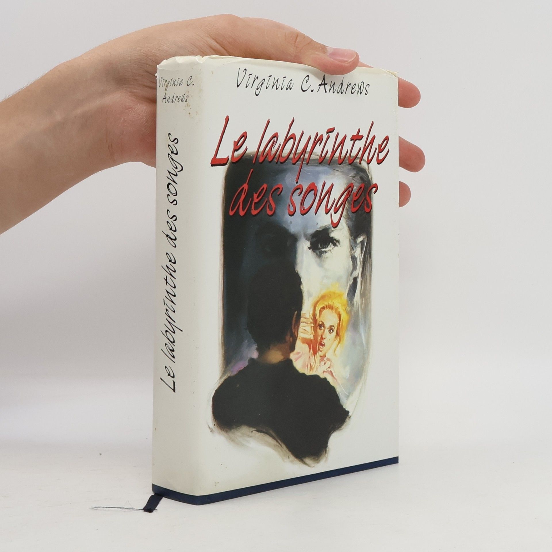 Virginia Cleo Andrews Le labyrinthe des songes