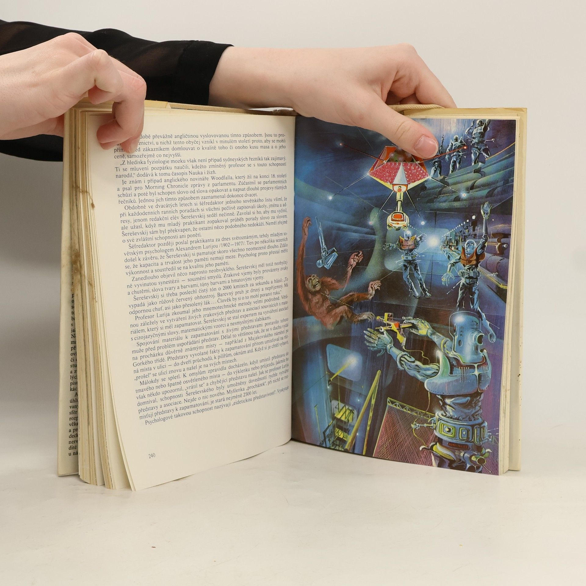 Milan Bauman Labyrint říše rozumu