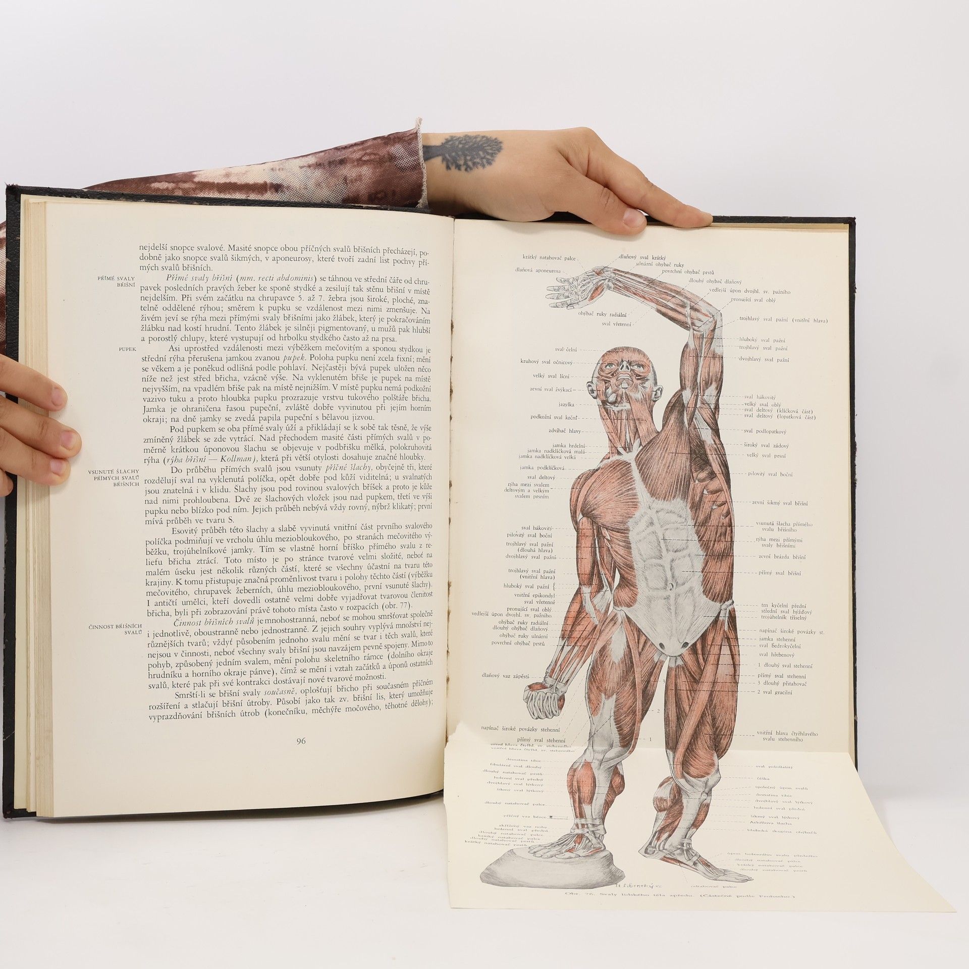 Josef Zrzavý Plastická anatomie člověka
