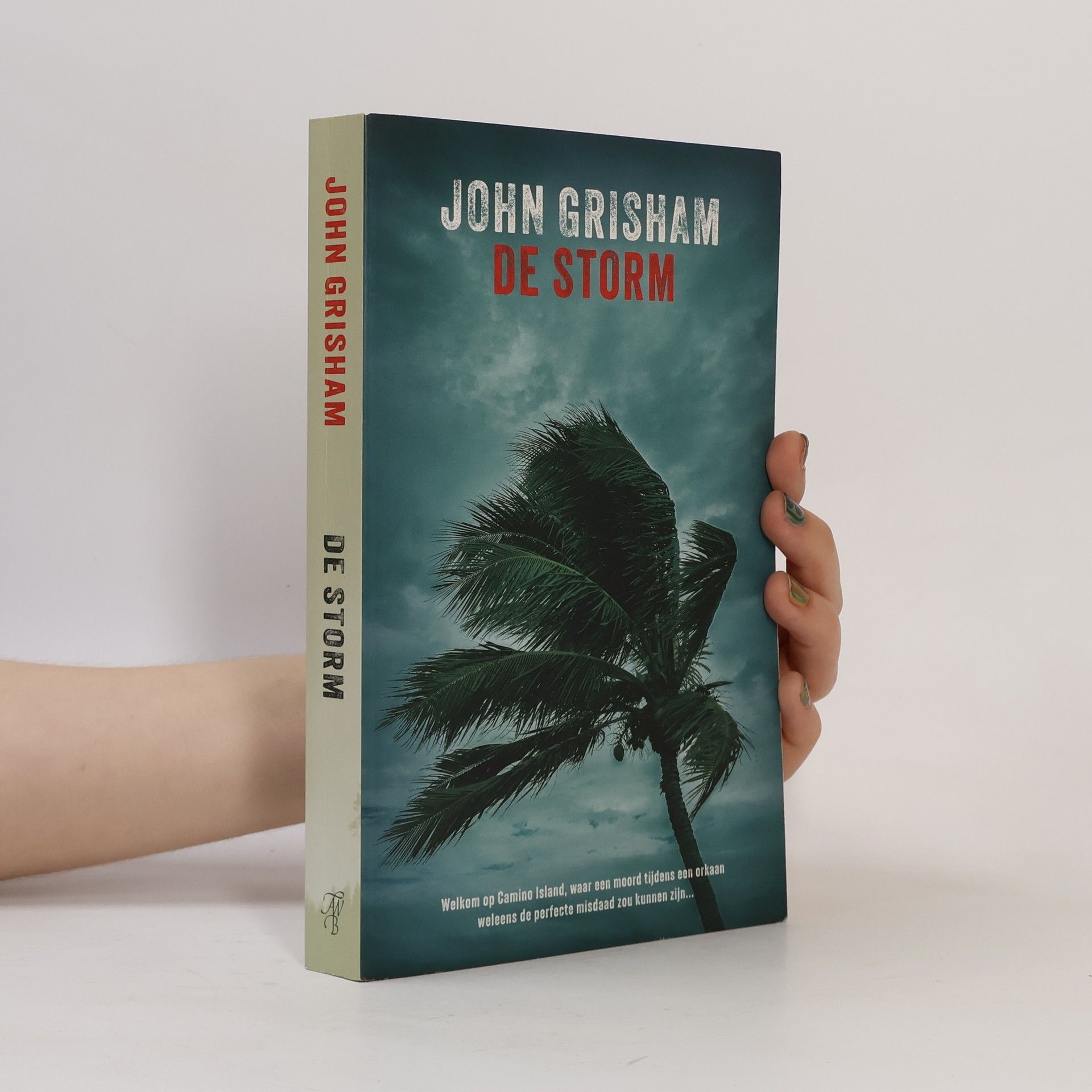 John Grisham De Storm