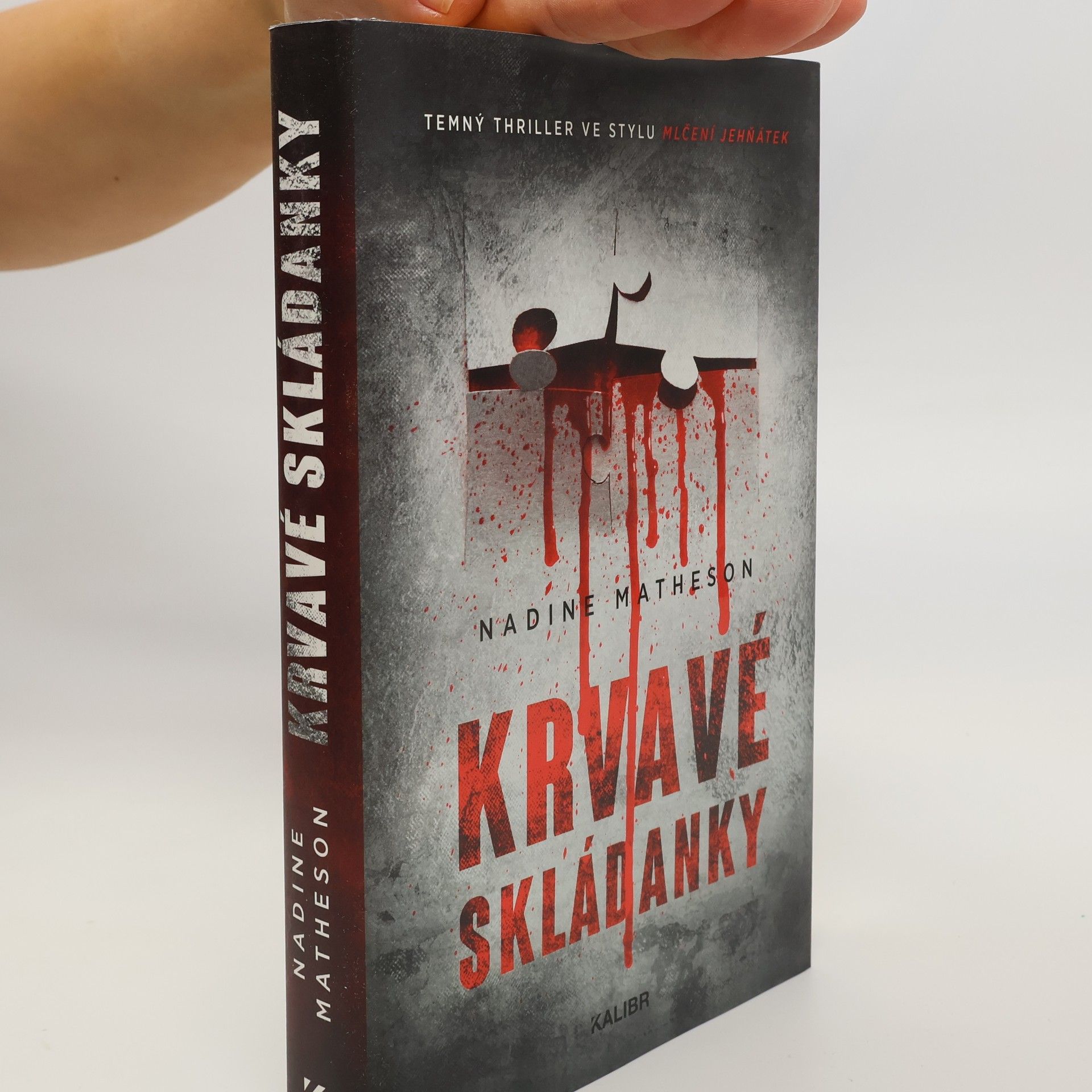 Nadine Matheson Krvavé skládanky