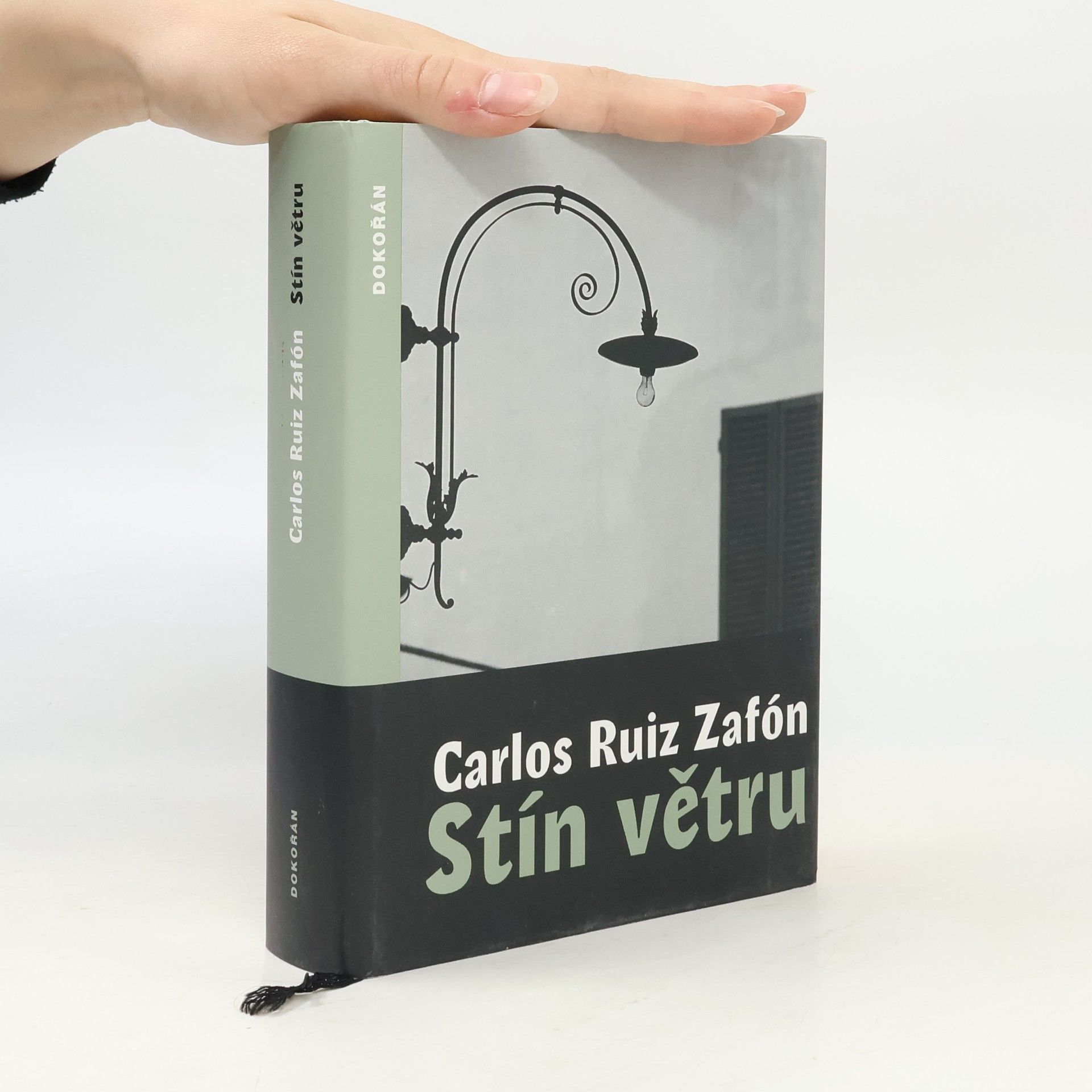 Carlos Ruiz Safon Stín větru
