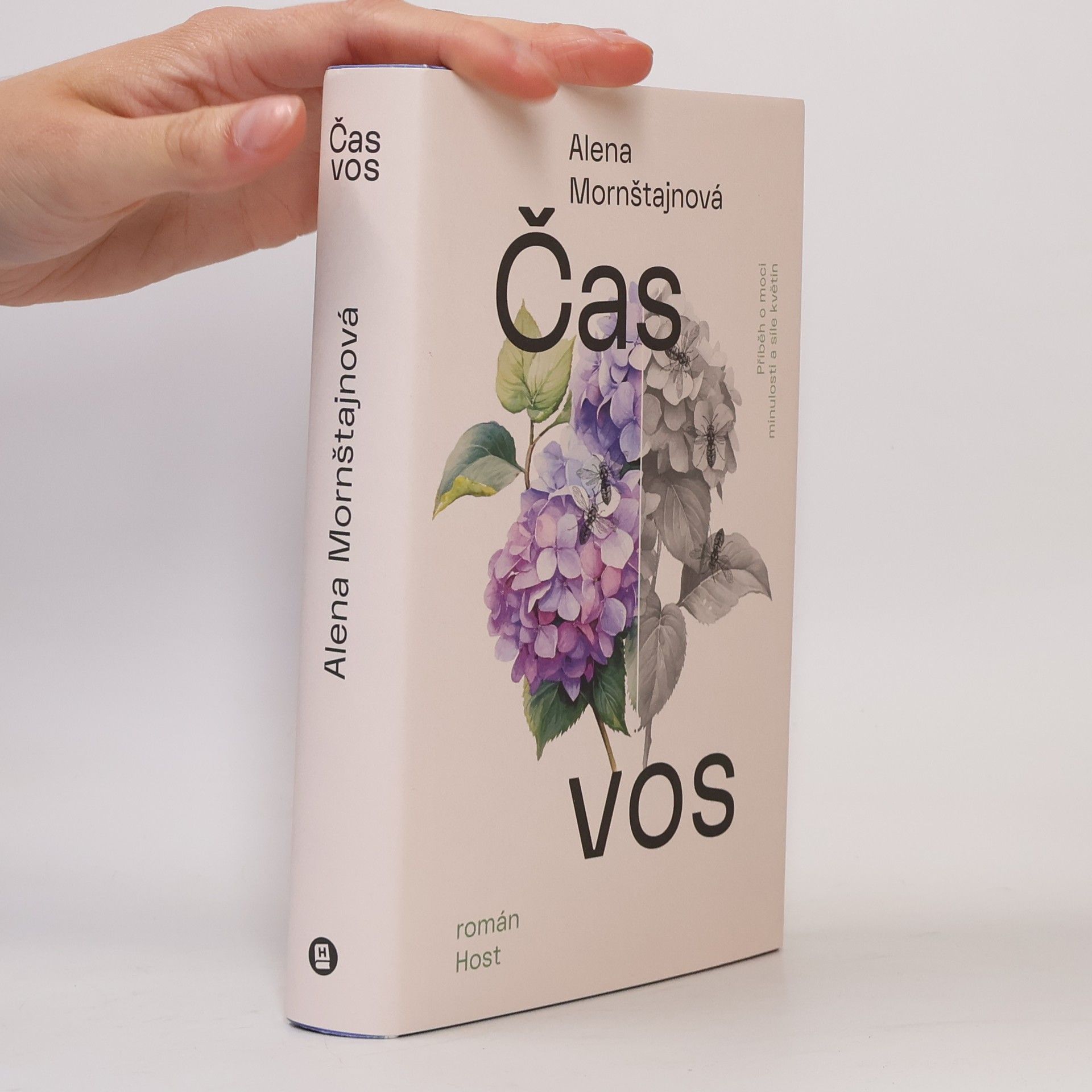 Alena Mornštajnová Čas vos