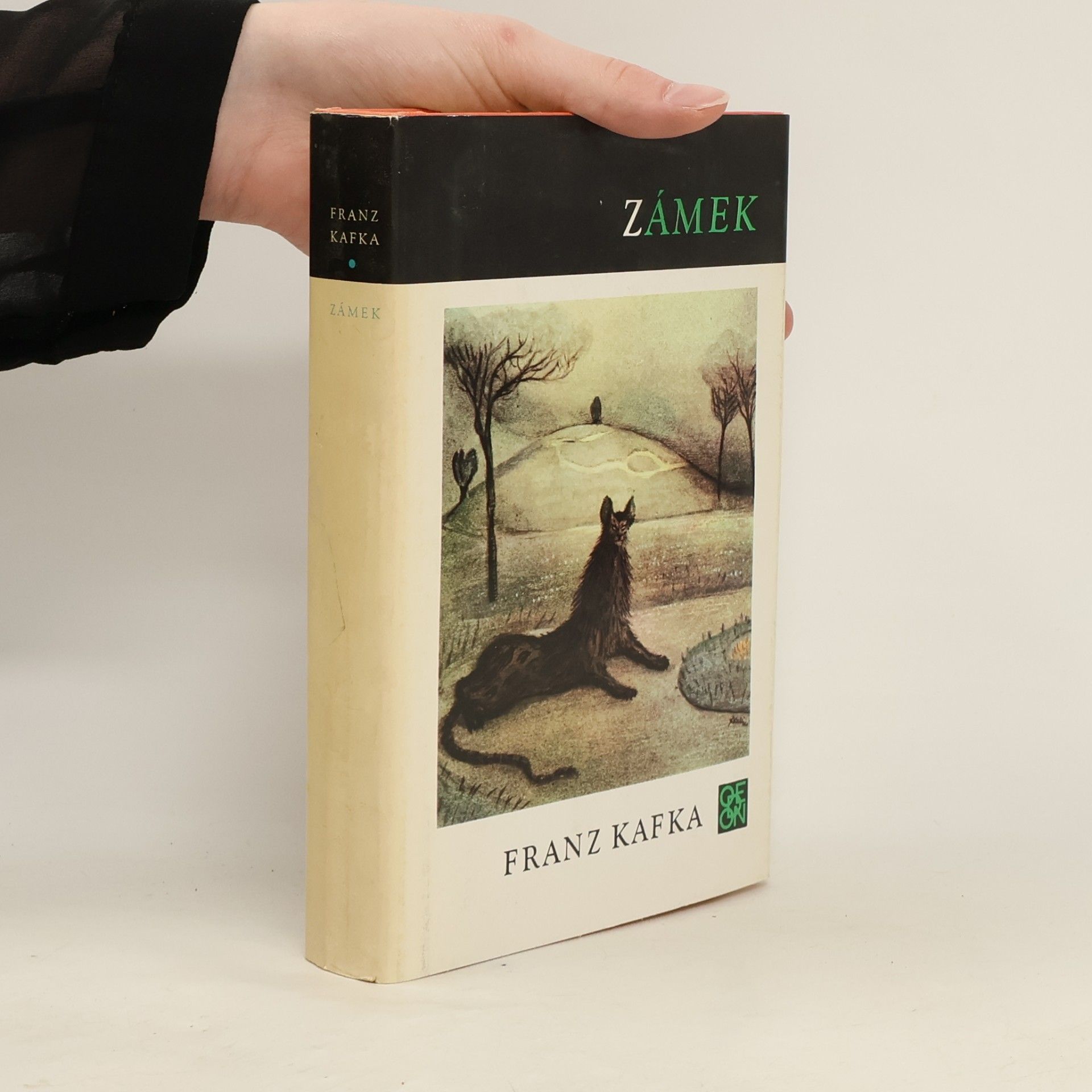 Franz Kafka Zámek