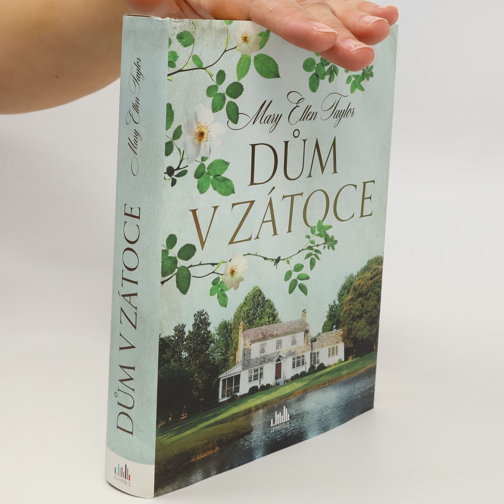Mary Ellen Taylor Dům v zátoce