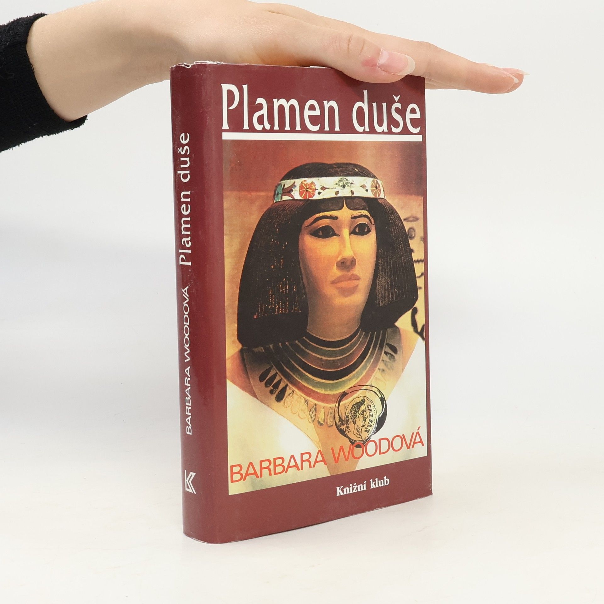 Barbara Wood Plamen duše