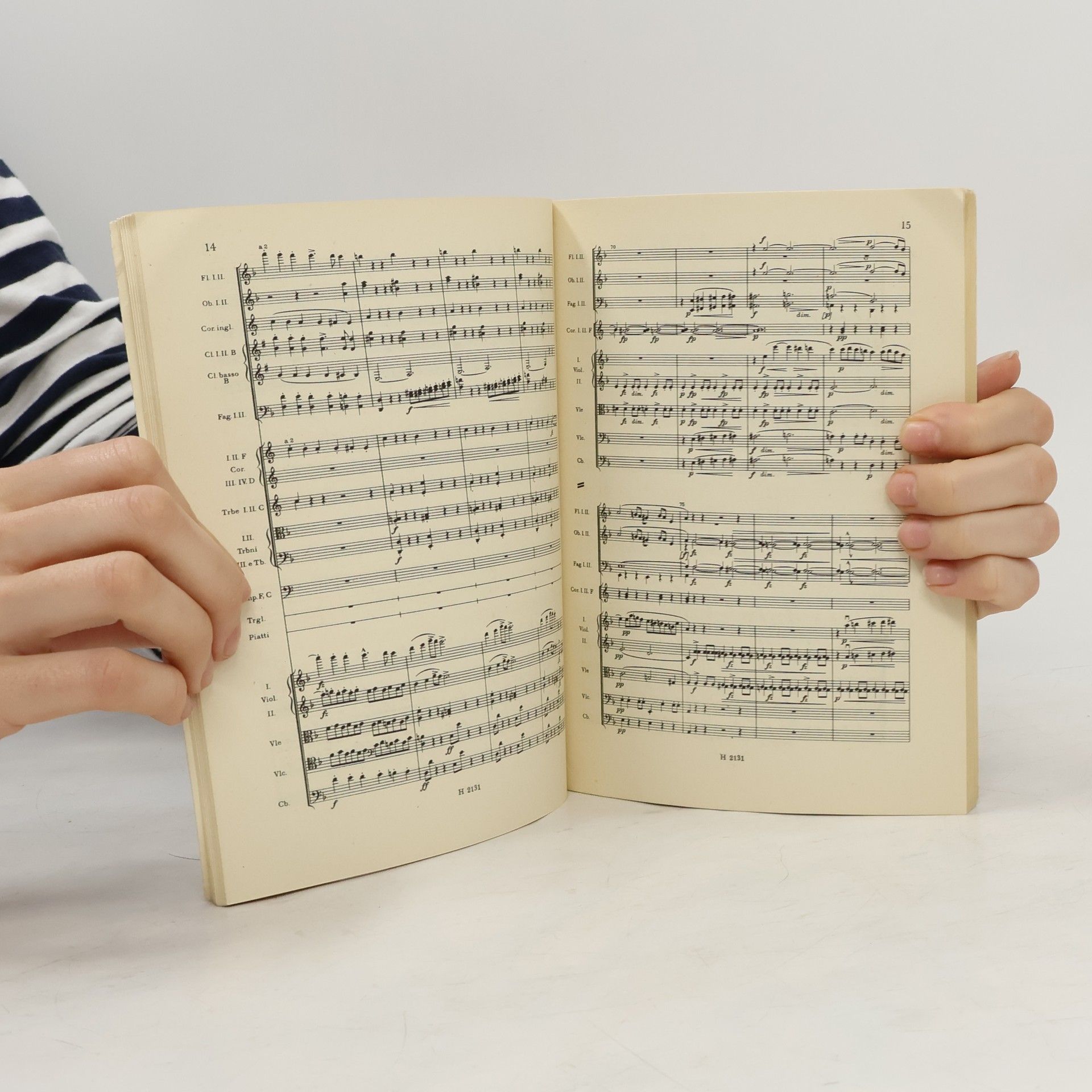 Antonín Dvořák V přírodě op. 91