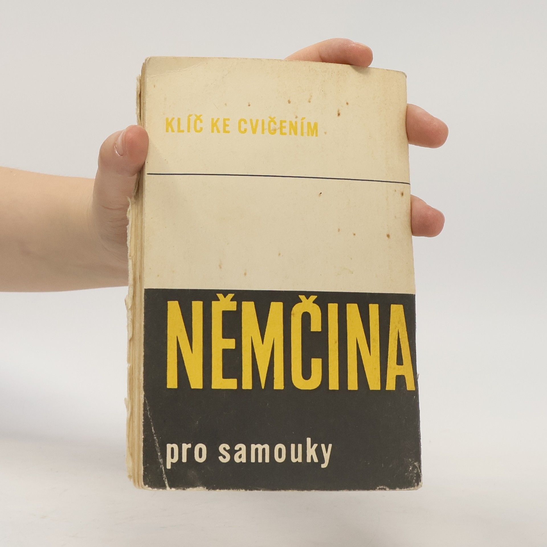 Collectif d'auteurs Němčina pro samouky