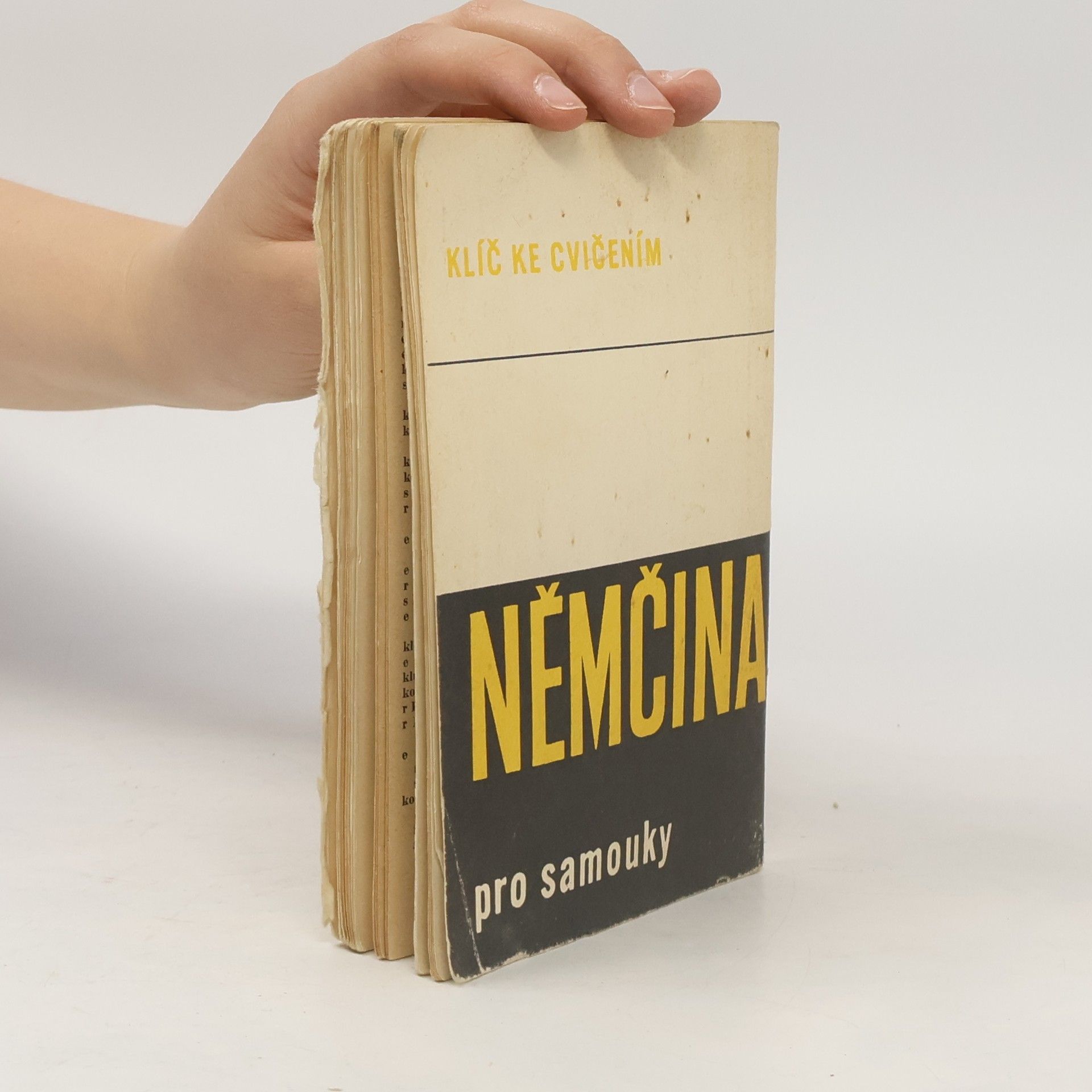 Collectif d'auteurs Němčina pro samouky
