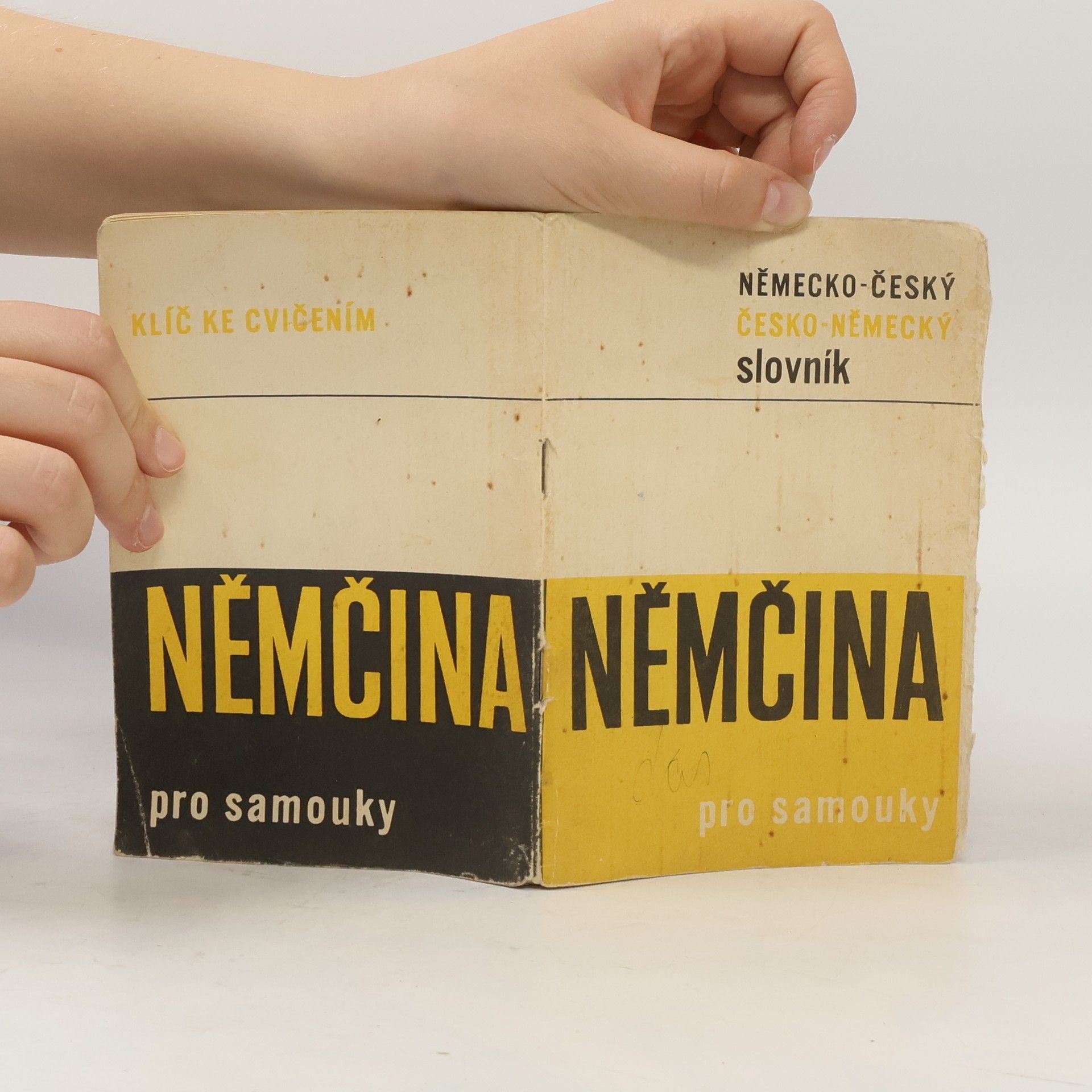 Collectif d'auteurs Němčina pro samouky