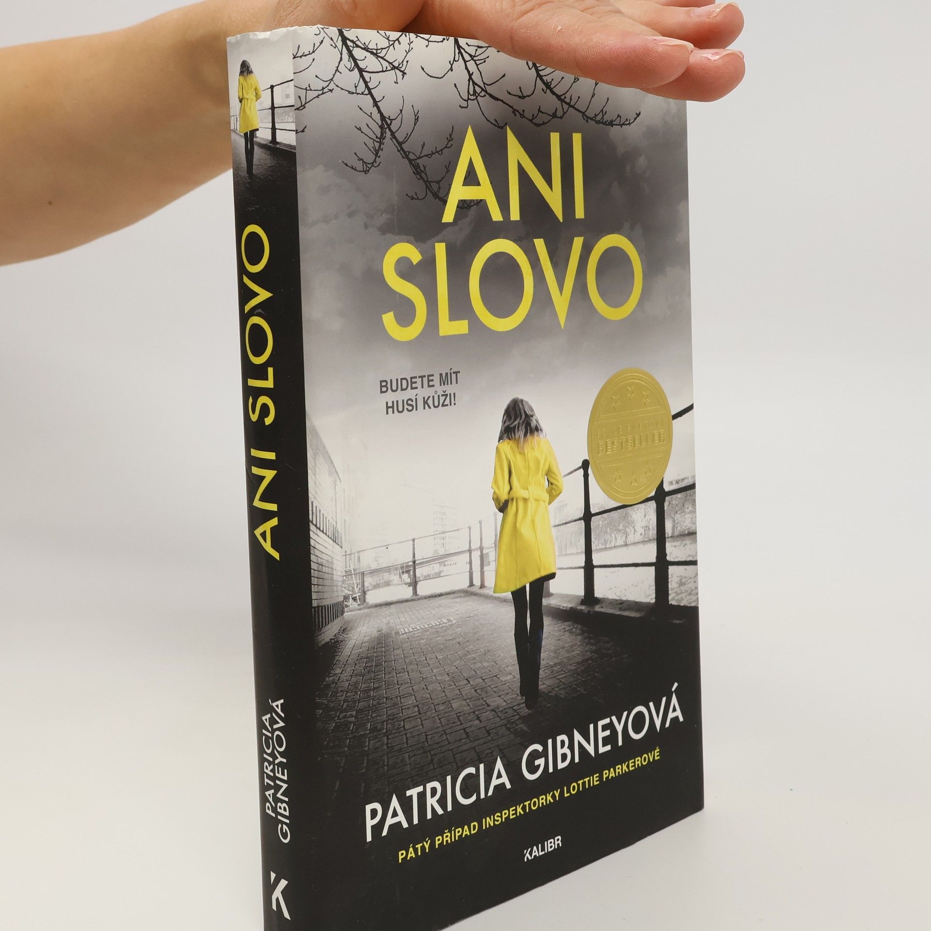 Patricia Gibney Ani slovo
