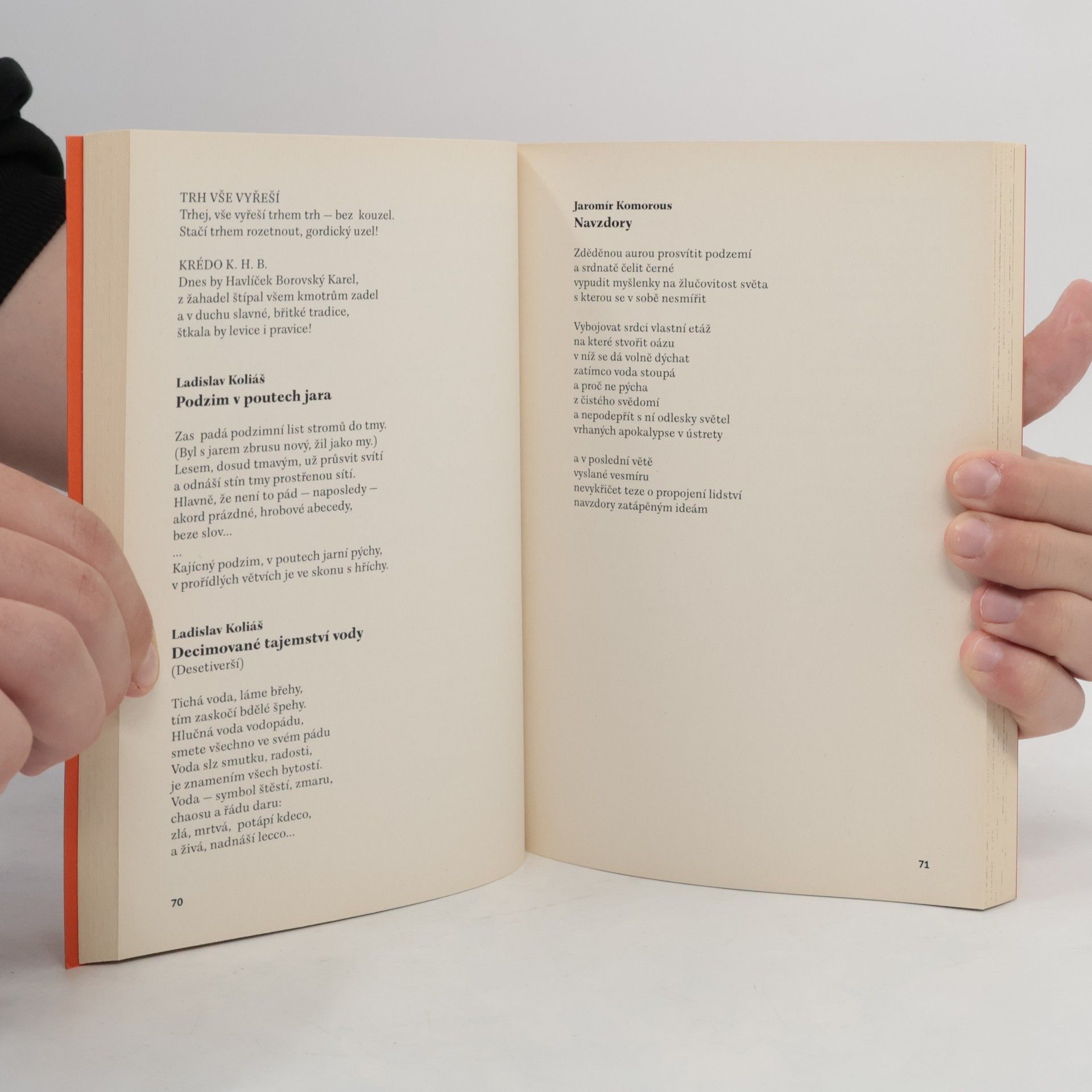 Autorenkollektiv Řeka úsvitu : almanach české poezie 2017