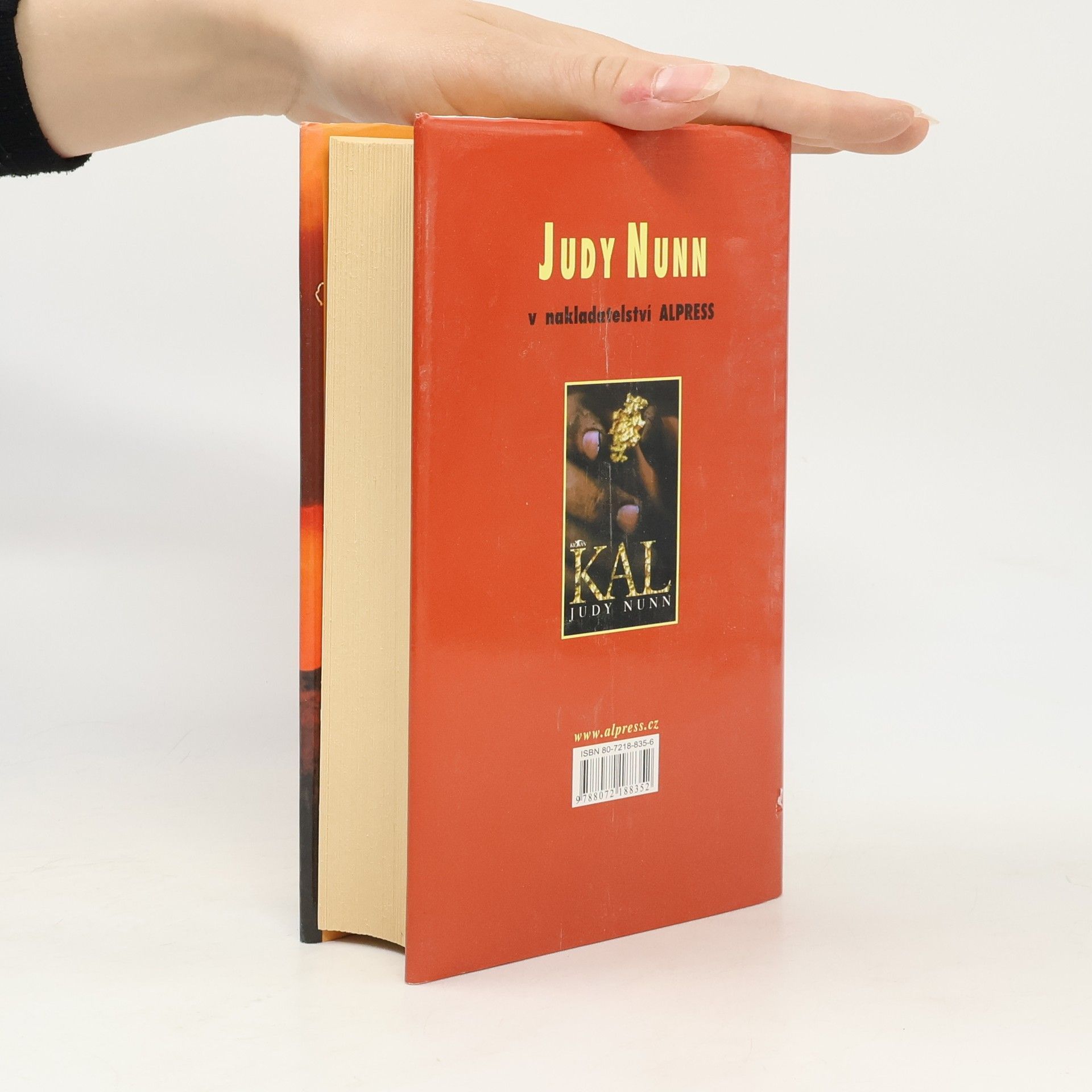 Judy Nunn Pod Jižním křížem