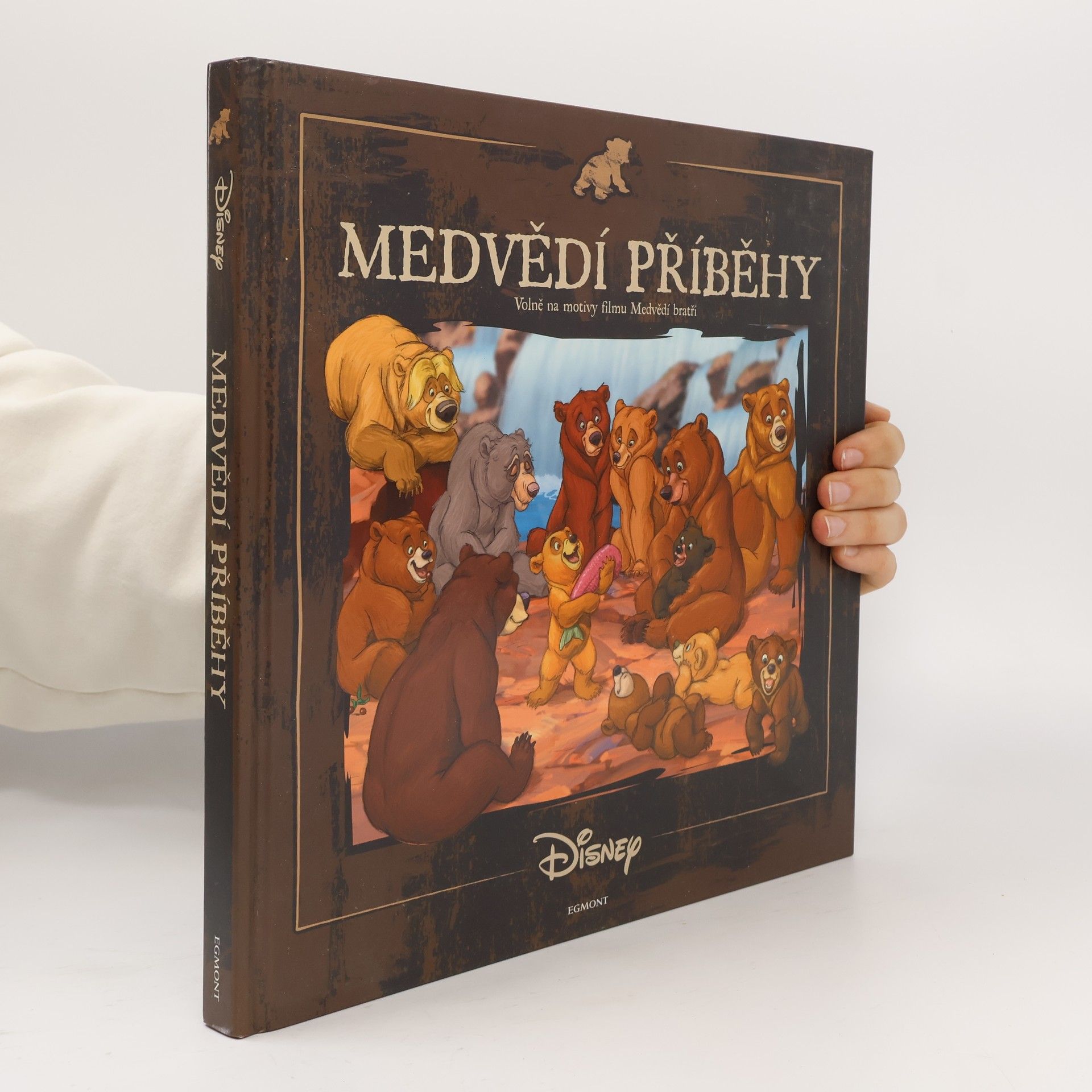 Walt Disney Medvědí příběhy