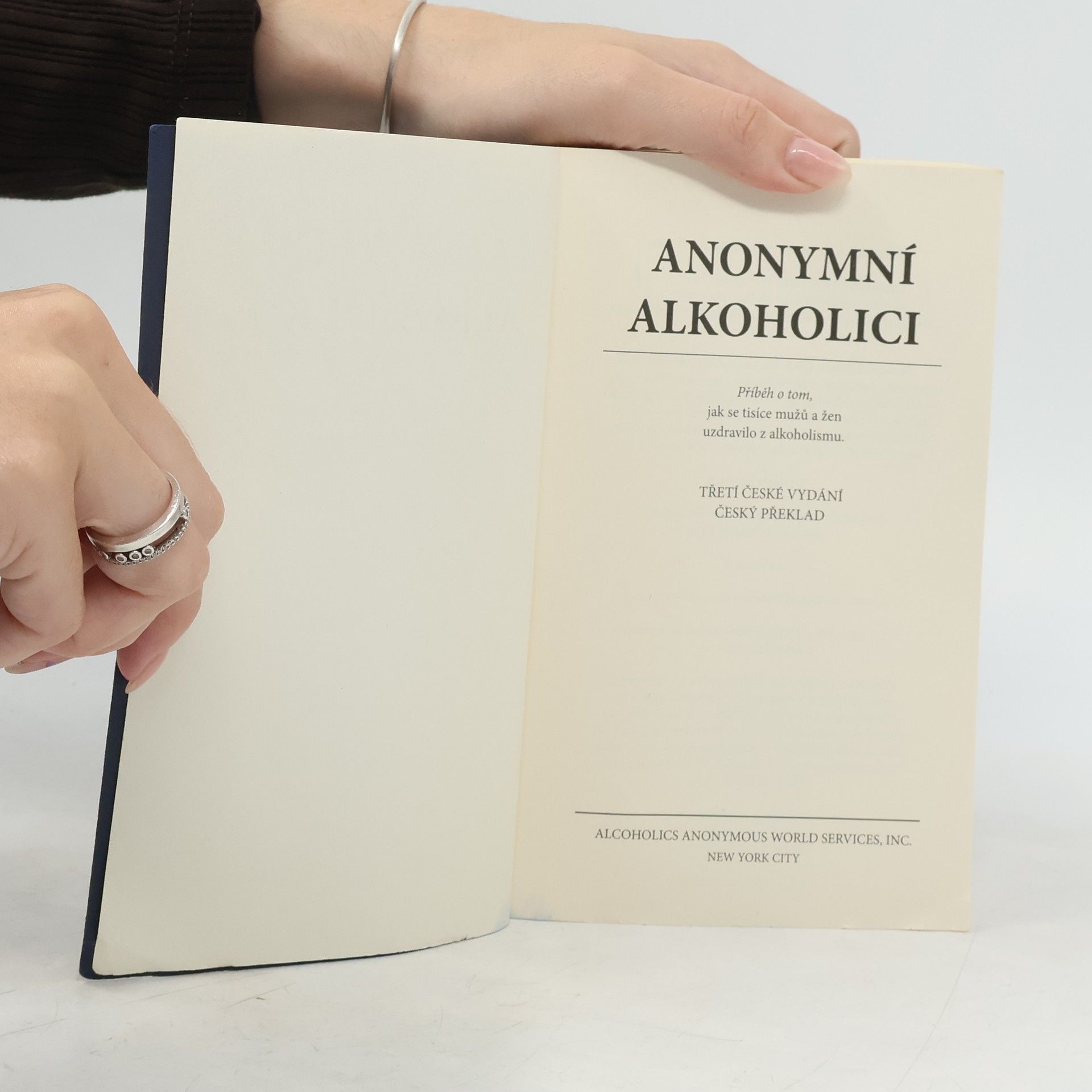 Autorenkollektiv Anonymní Alkoholici