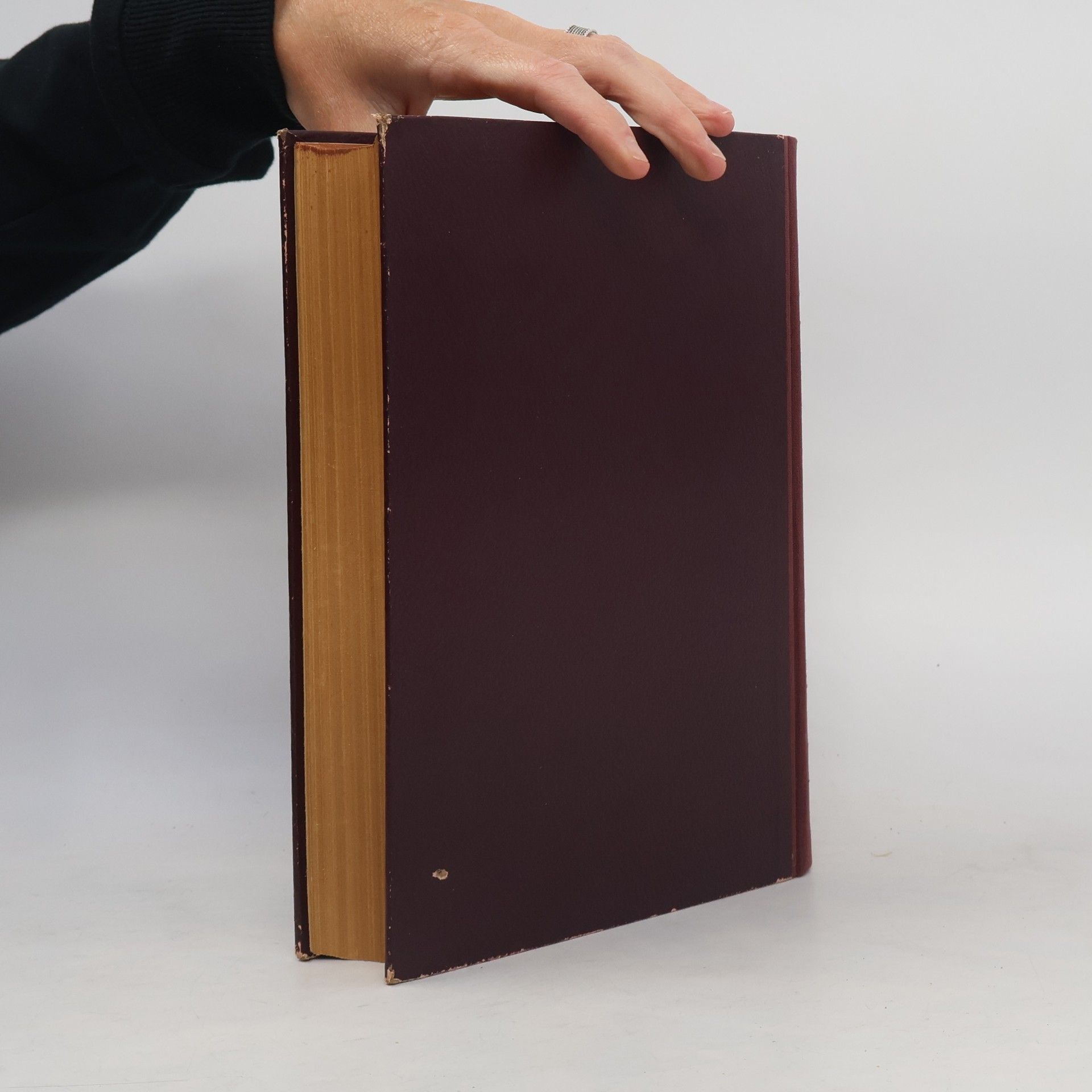 Holland Merten Handbuch der Vakuumtechnik