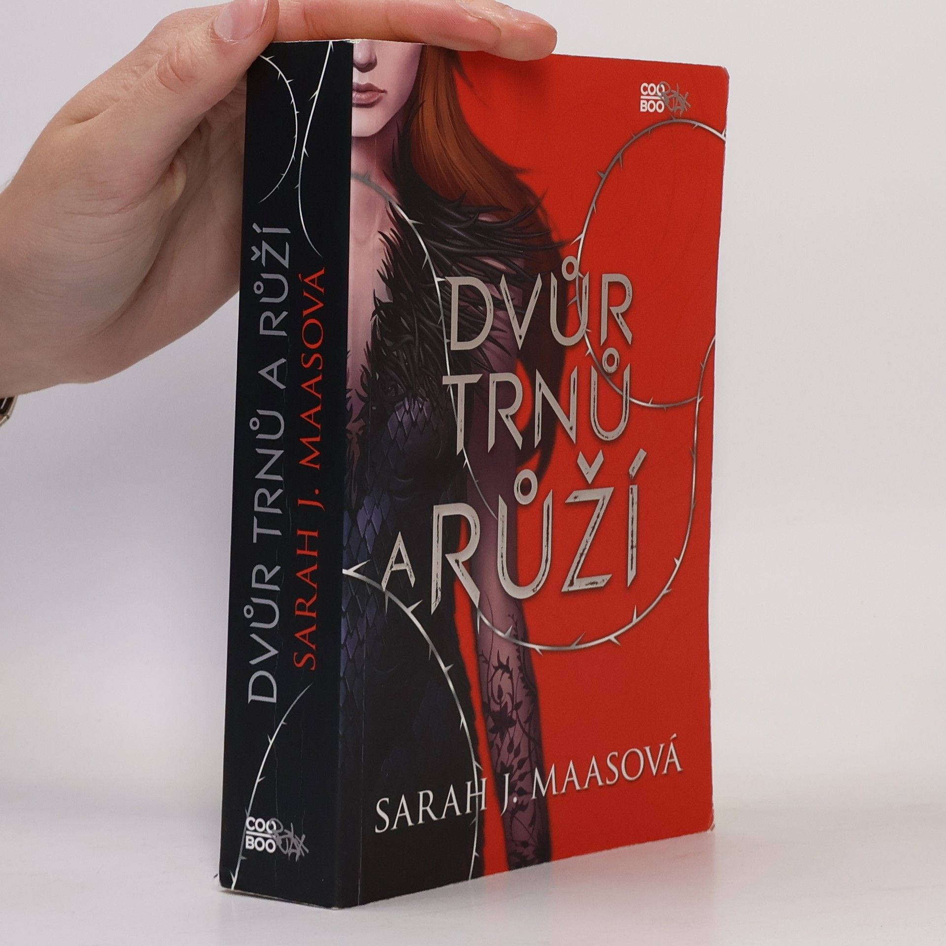 Dvůr trnů a růží