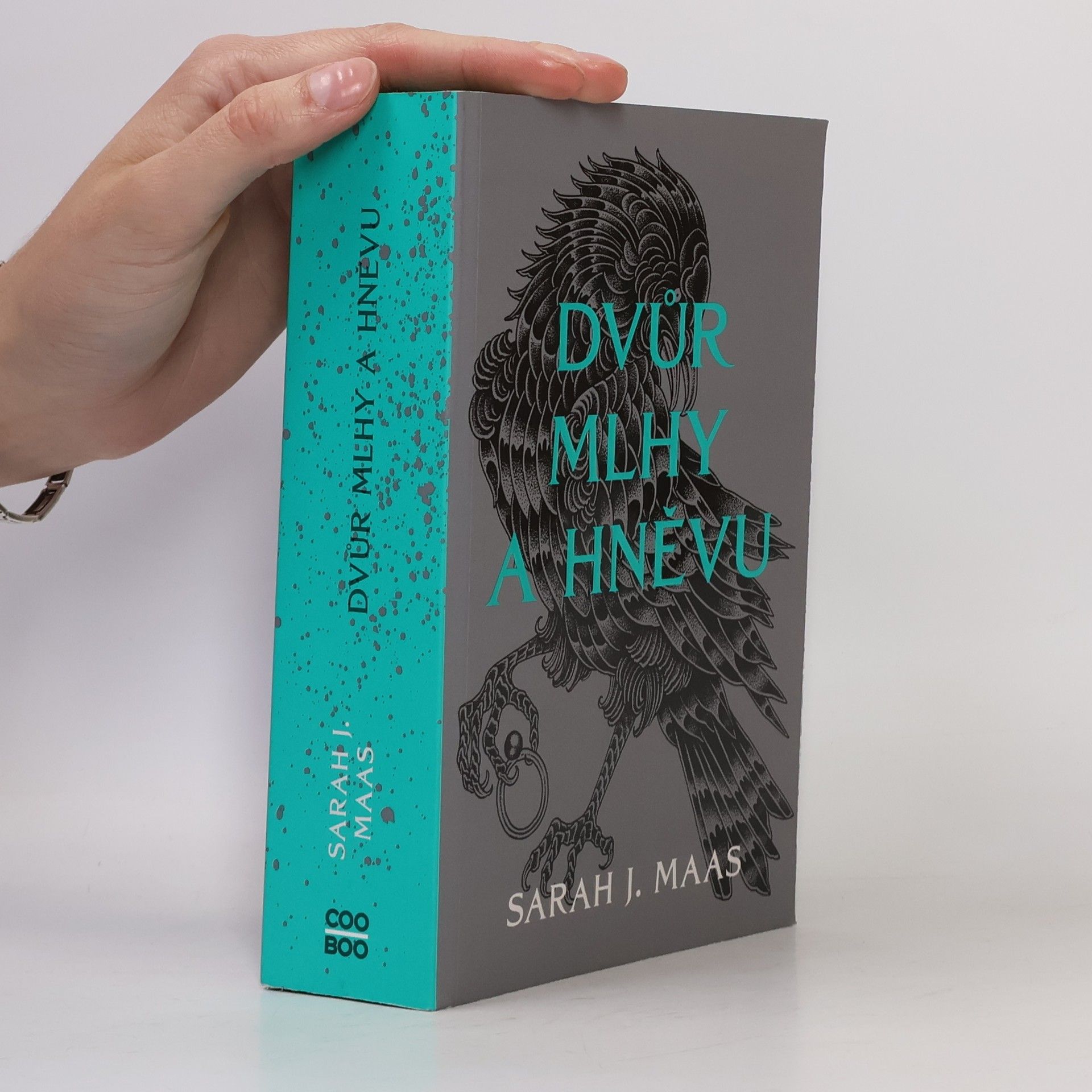 Sarah J. Maas Dvůr mlhy a hněvu
