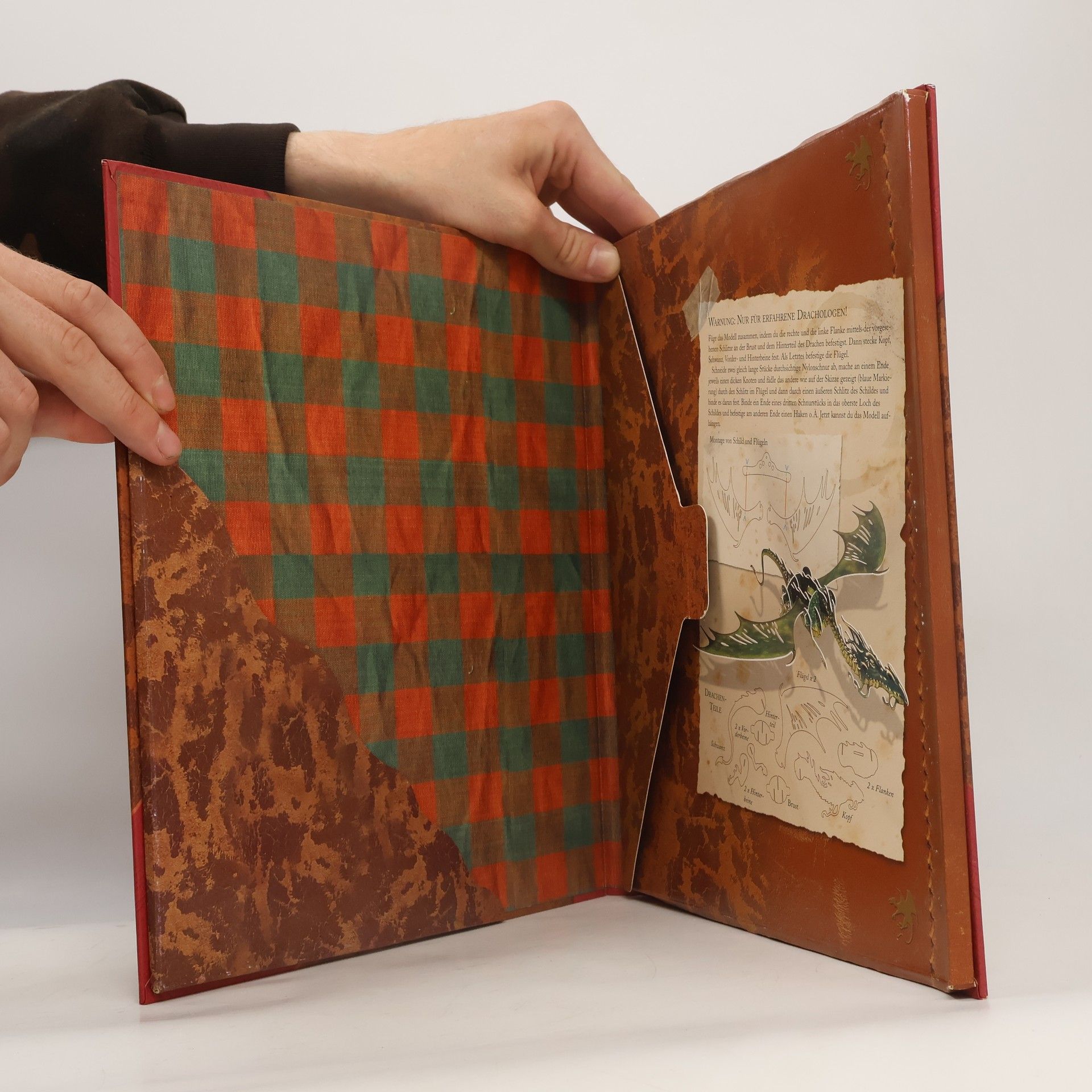 Dugald Steer Drachologie