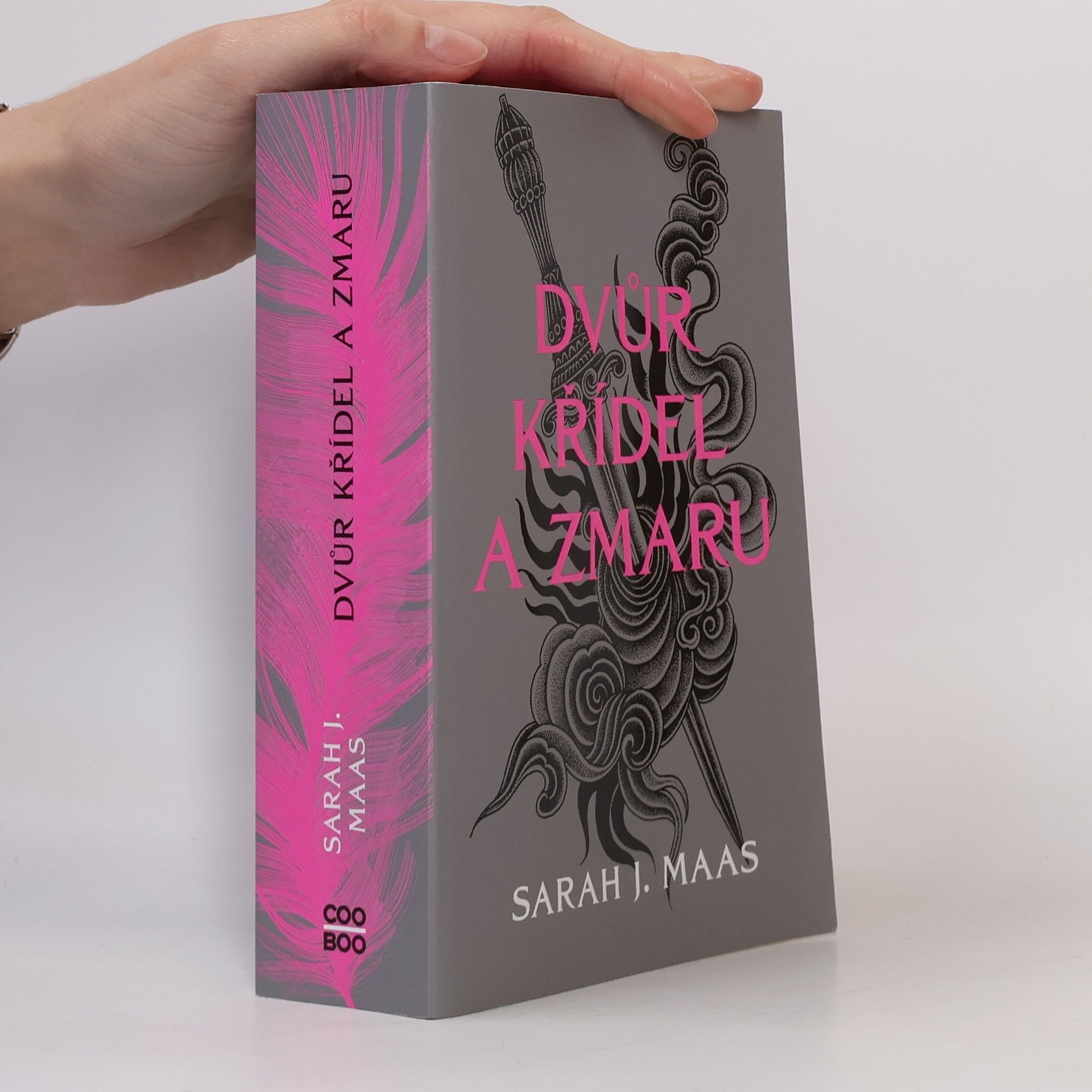 Sarah J. Maas Dvůr křídel a zmaru