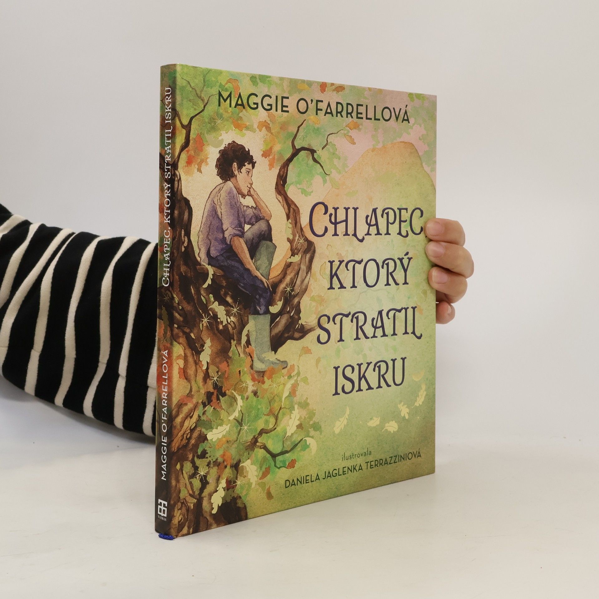 Maggie O. Farrell Chlapec, ktorý stratil iskru