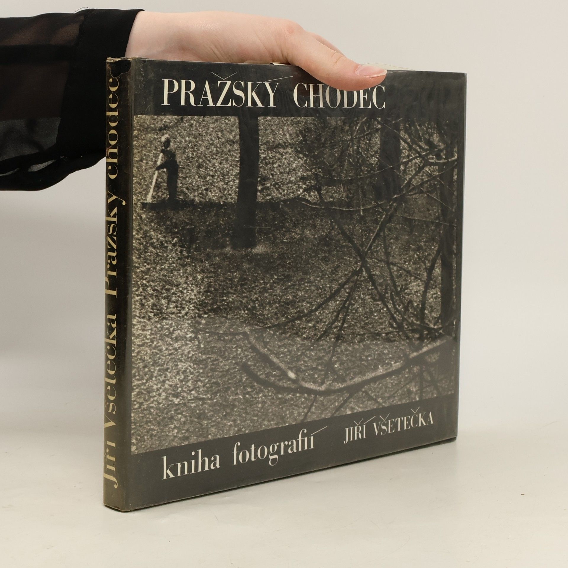 Jiří Všetečka Pražský chodec