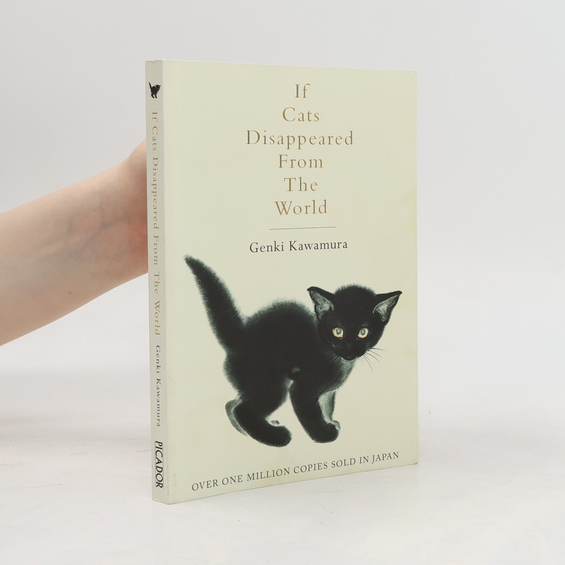 Genki Kawamura If Cats Disappeared from the World