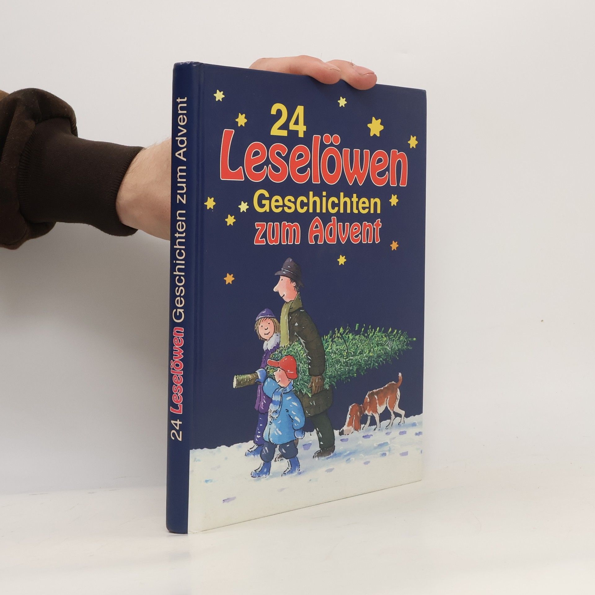 Autorenkollektiv 24 Leselöwen Geschichten zum Advent