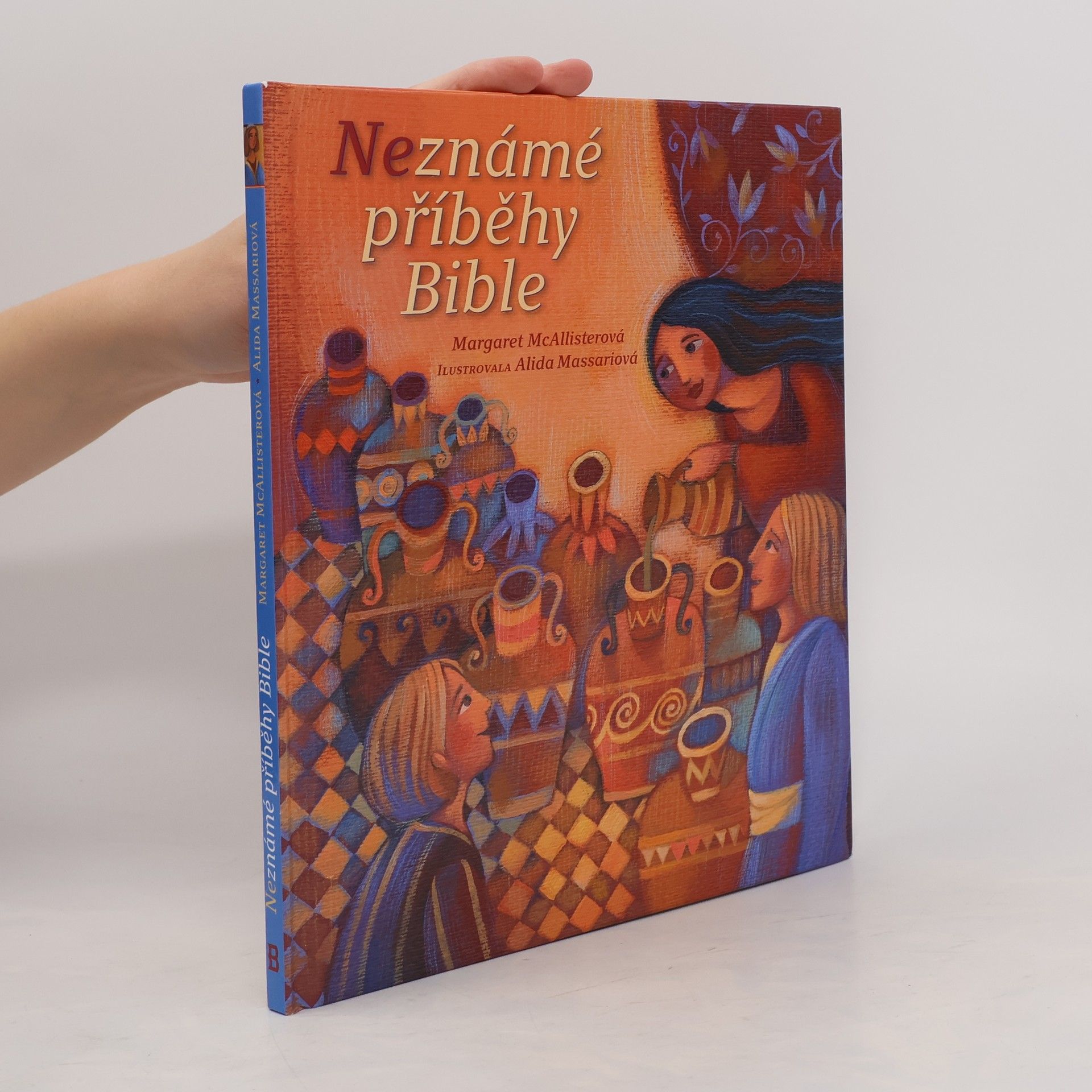 Margaret McAllister Neznámé příběhy Bible