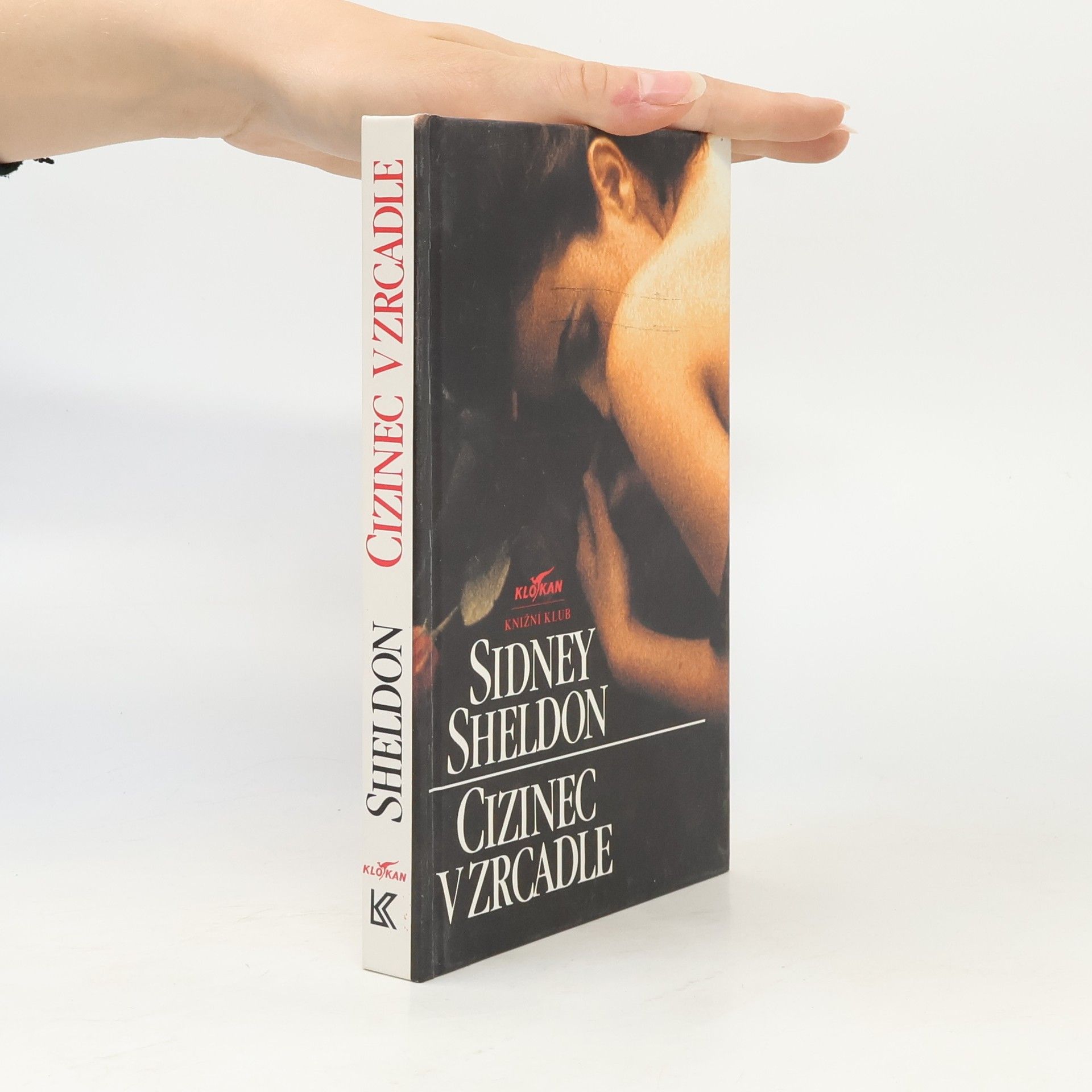 Sidney Sheldon Cizinec v zrcadle