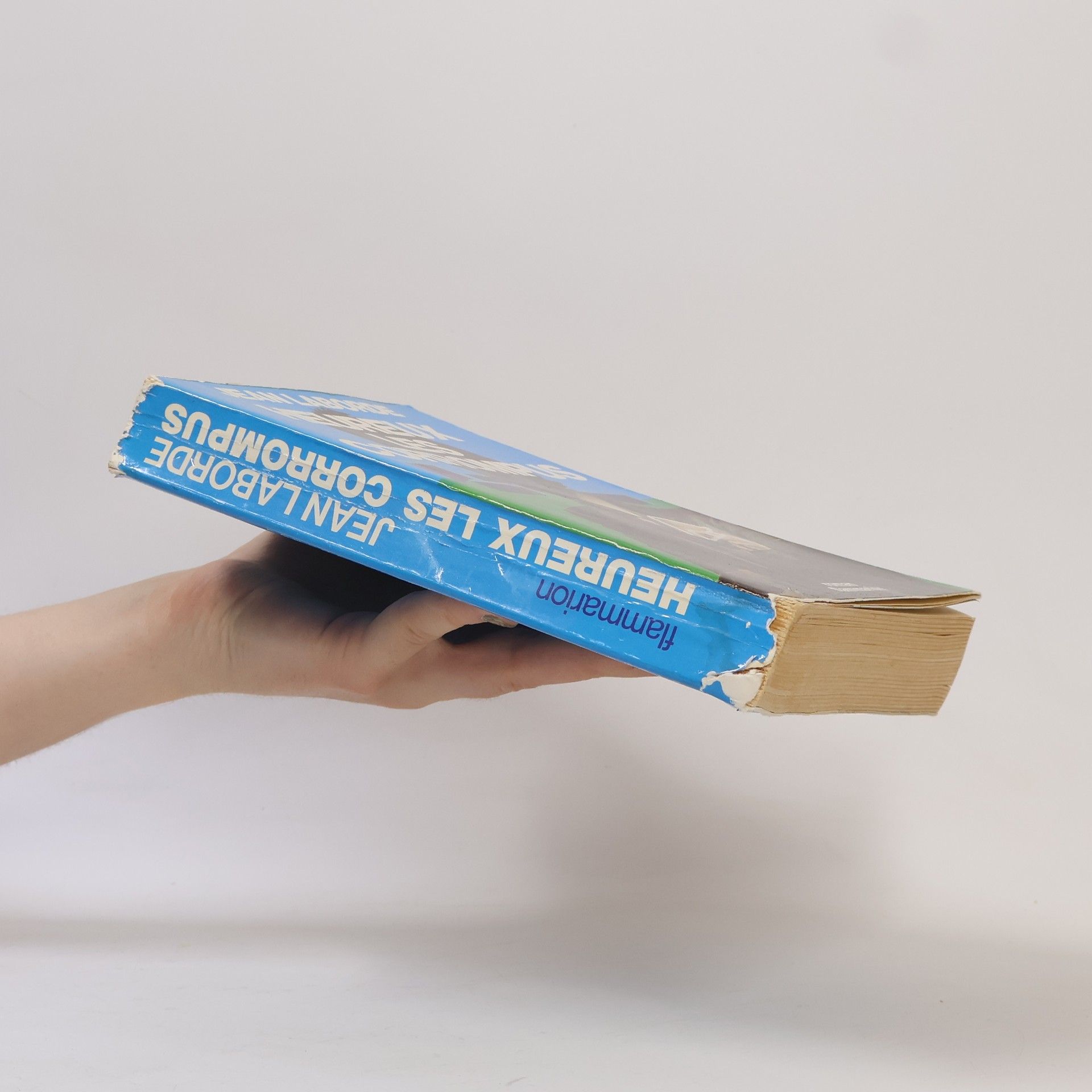 Collectif d'auteurs Heureux les Corrompus