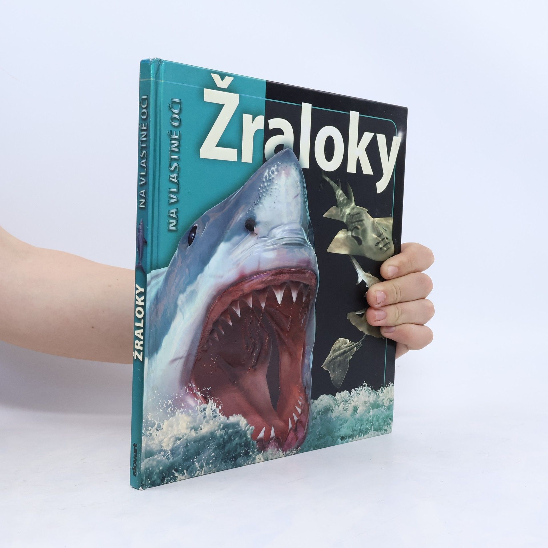 Kolektiv autorů Žraloky